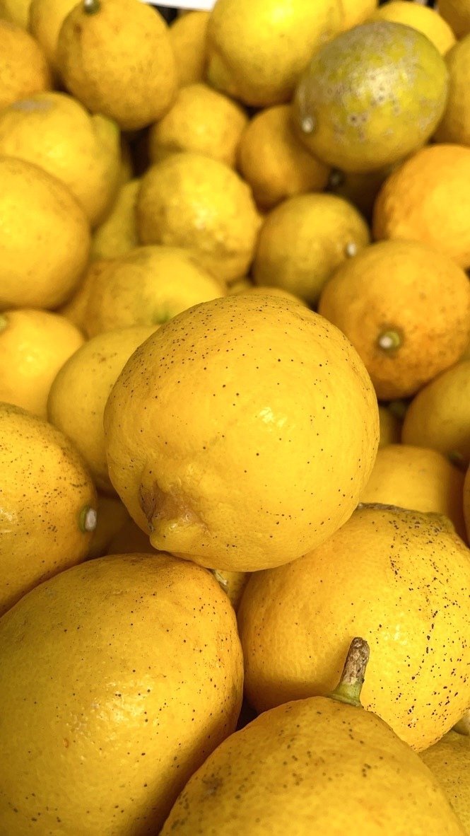 LEMON　11月中旬 a30676-2_700.jpg