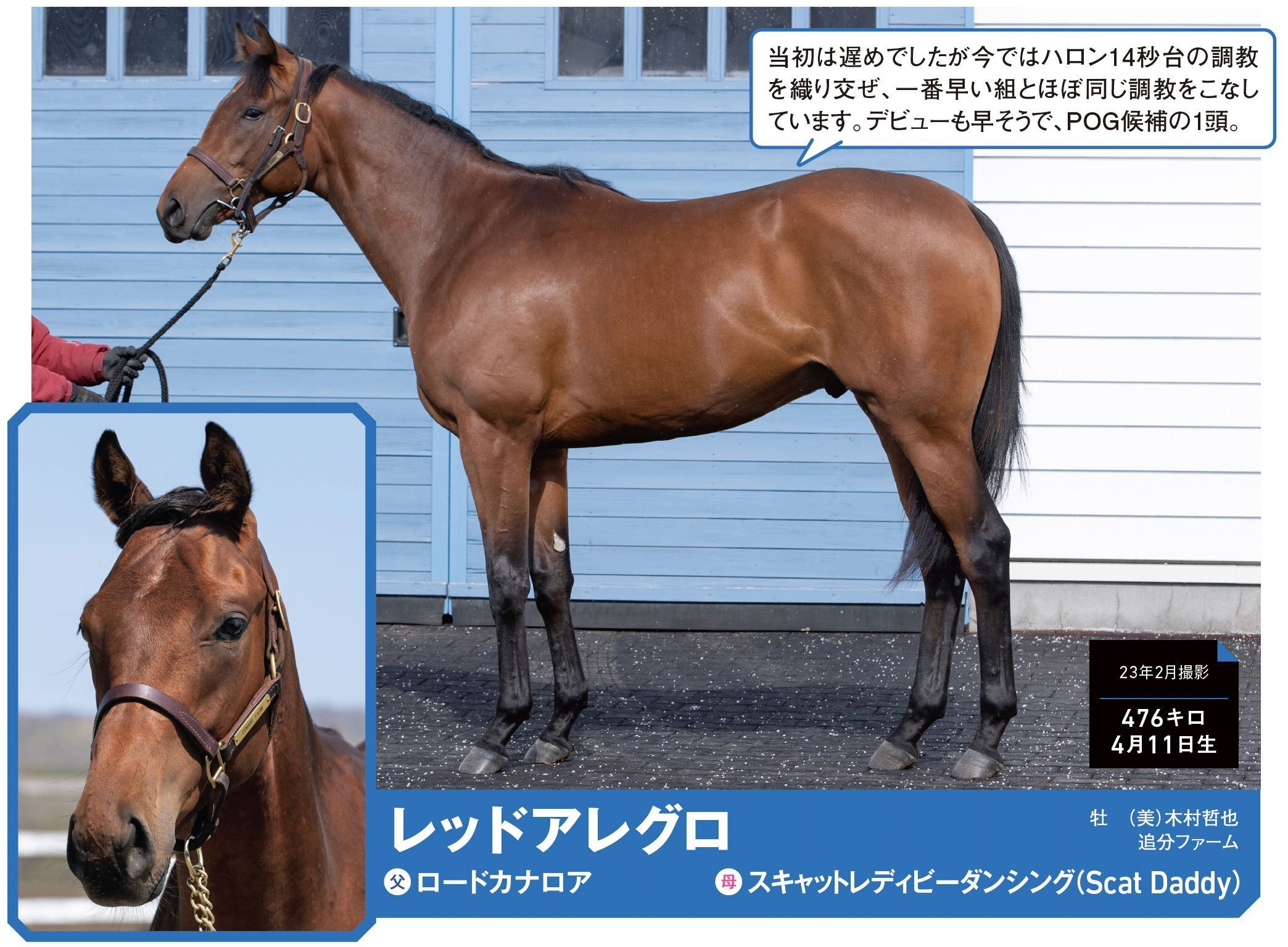 宝くじ感覚馬券のクイックピックの買い方 | 馬艇☆ライブのブログ