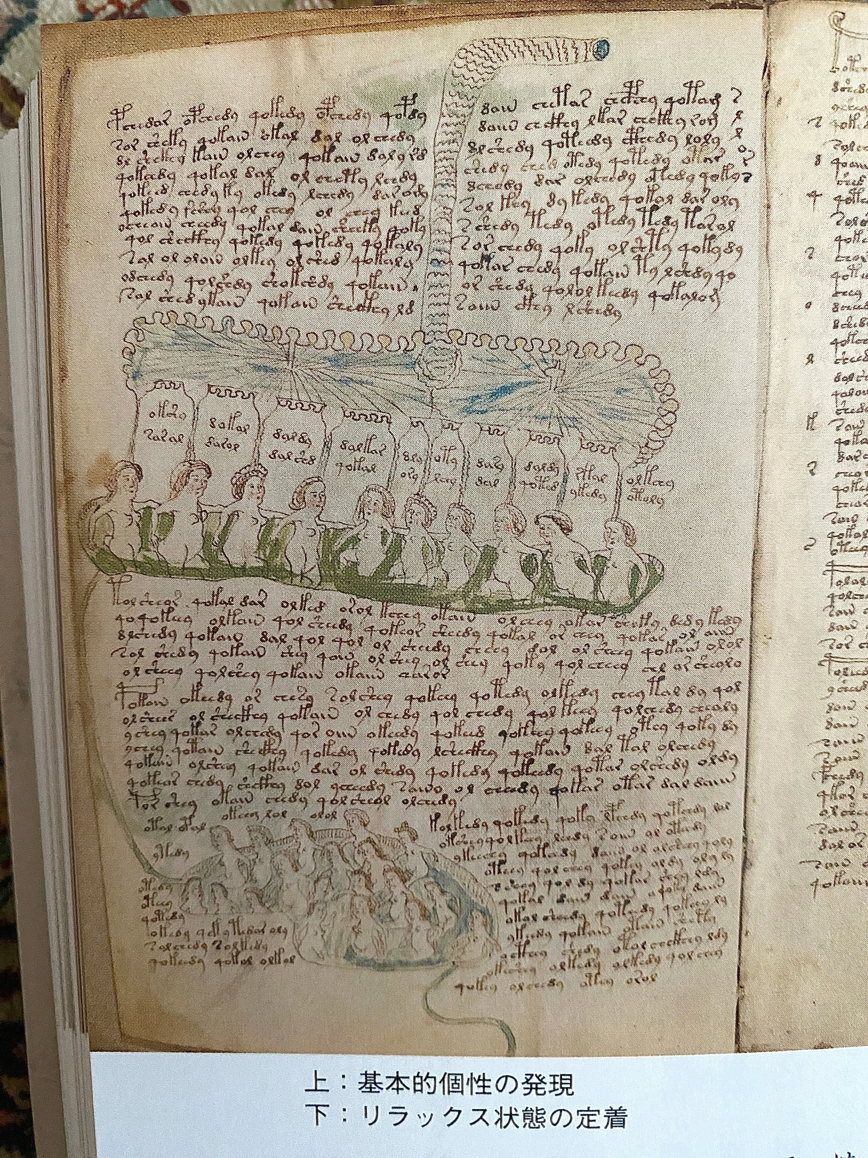 ヴォイニッチ手稿の秘密』 ーVoynich Manuscript｜Lulu's Cabinet