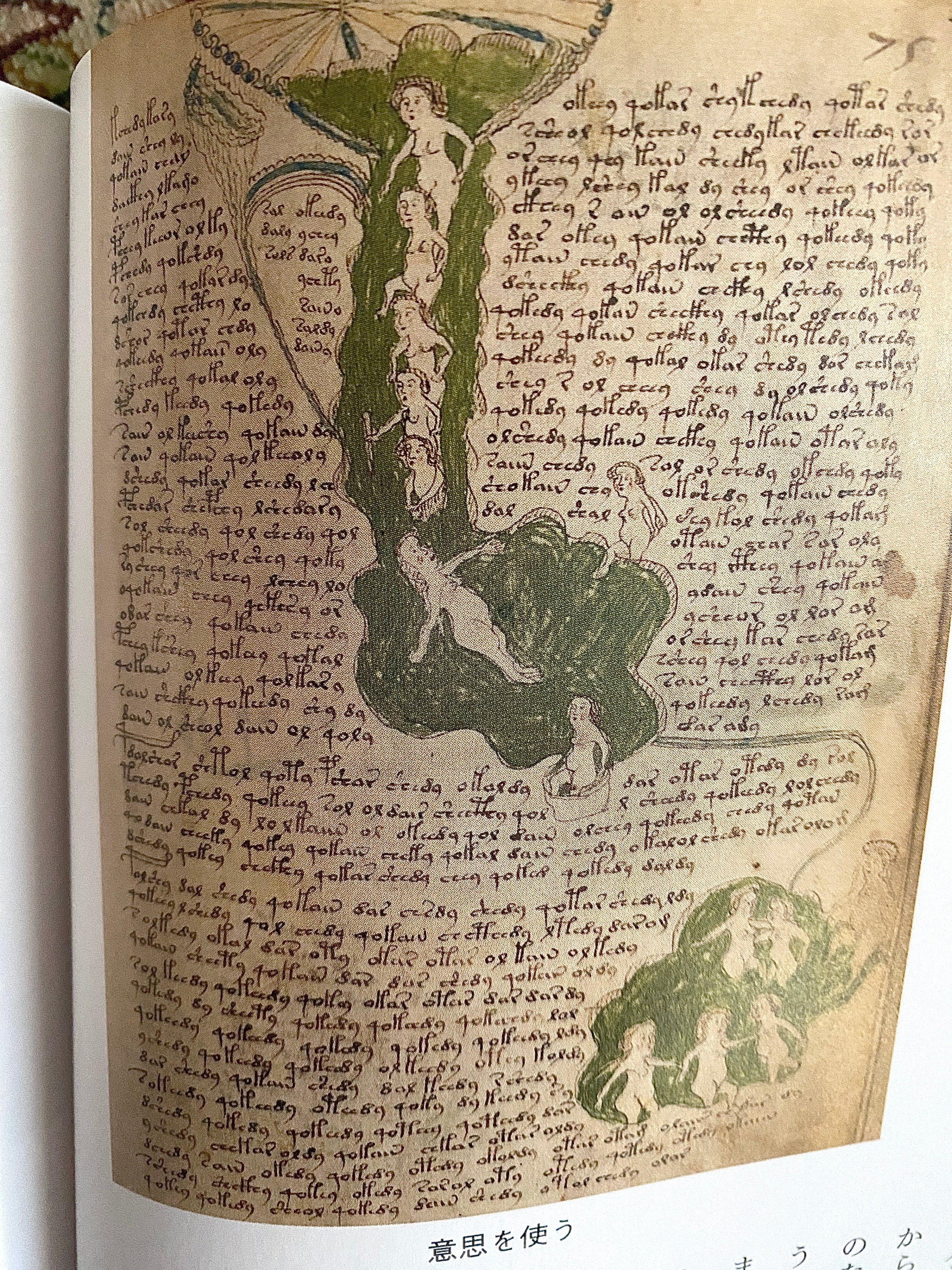 ヴォイニッチ手稿　THE VOYNICH MANUSCRIPT 奇書 ヴォイニッチ手稿 Voynich Manuscript - 戦国日本の津々浦々
