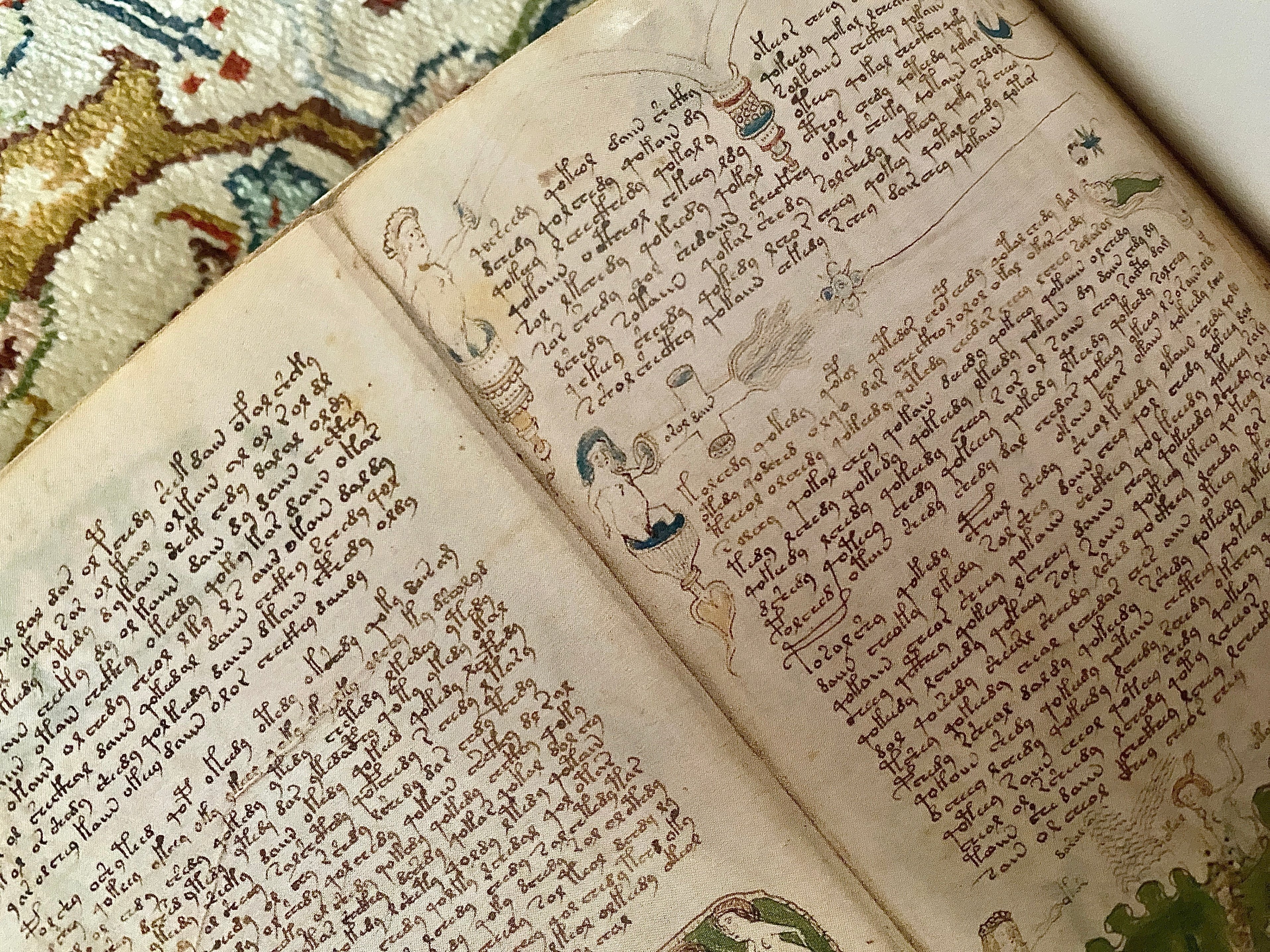 ヴォイニッチ手稿の秘密』 ーVoynich Manuscript｜Lulu's Cabinet