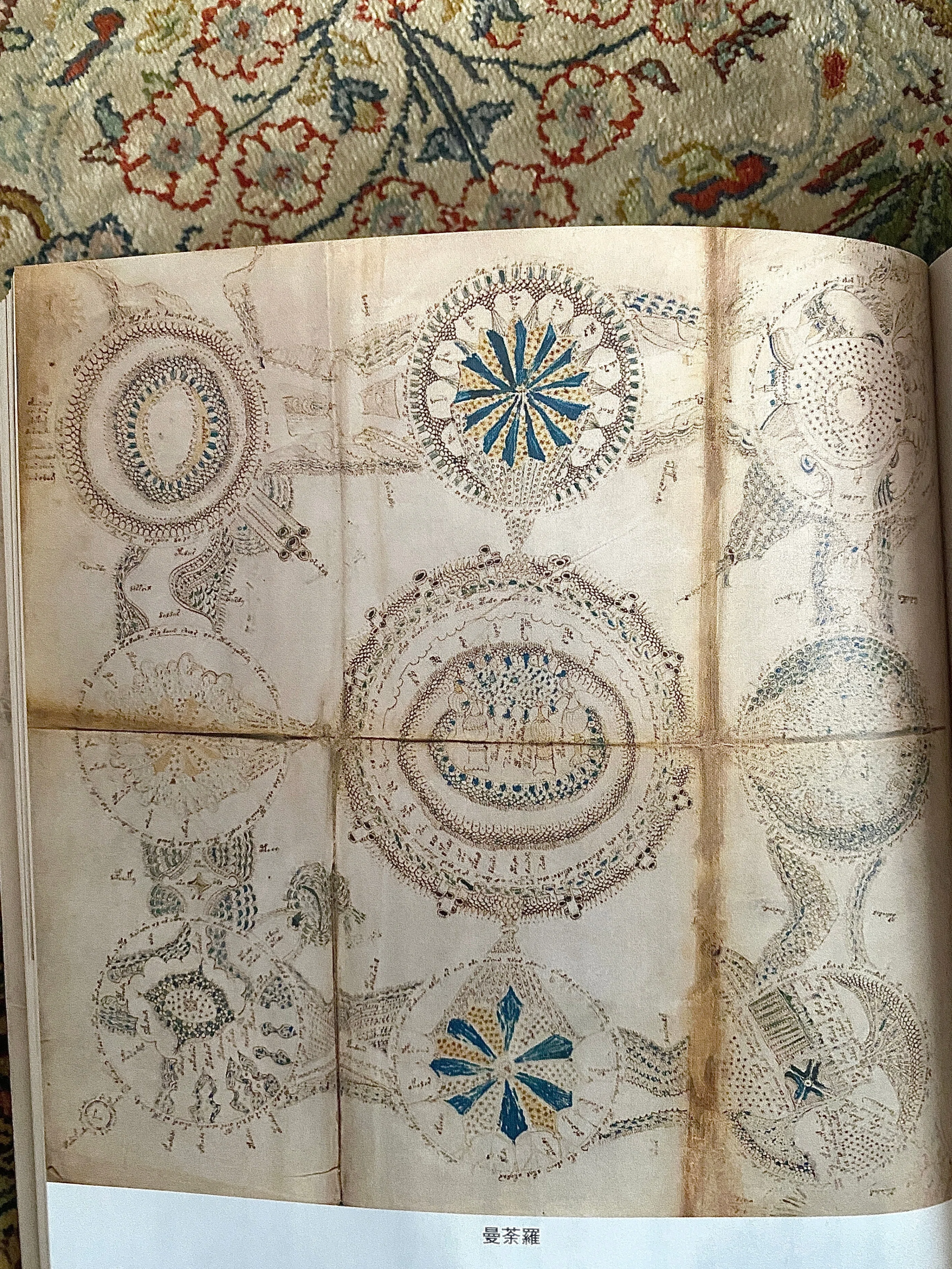 ヴォイニッチ手稿の秘密』 ーVoynich Manuscript｜Lulu's Cabinet