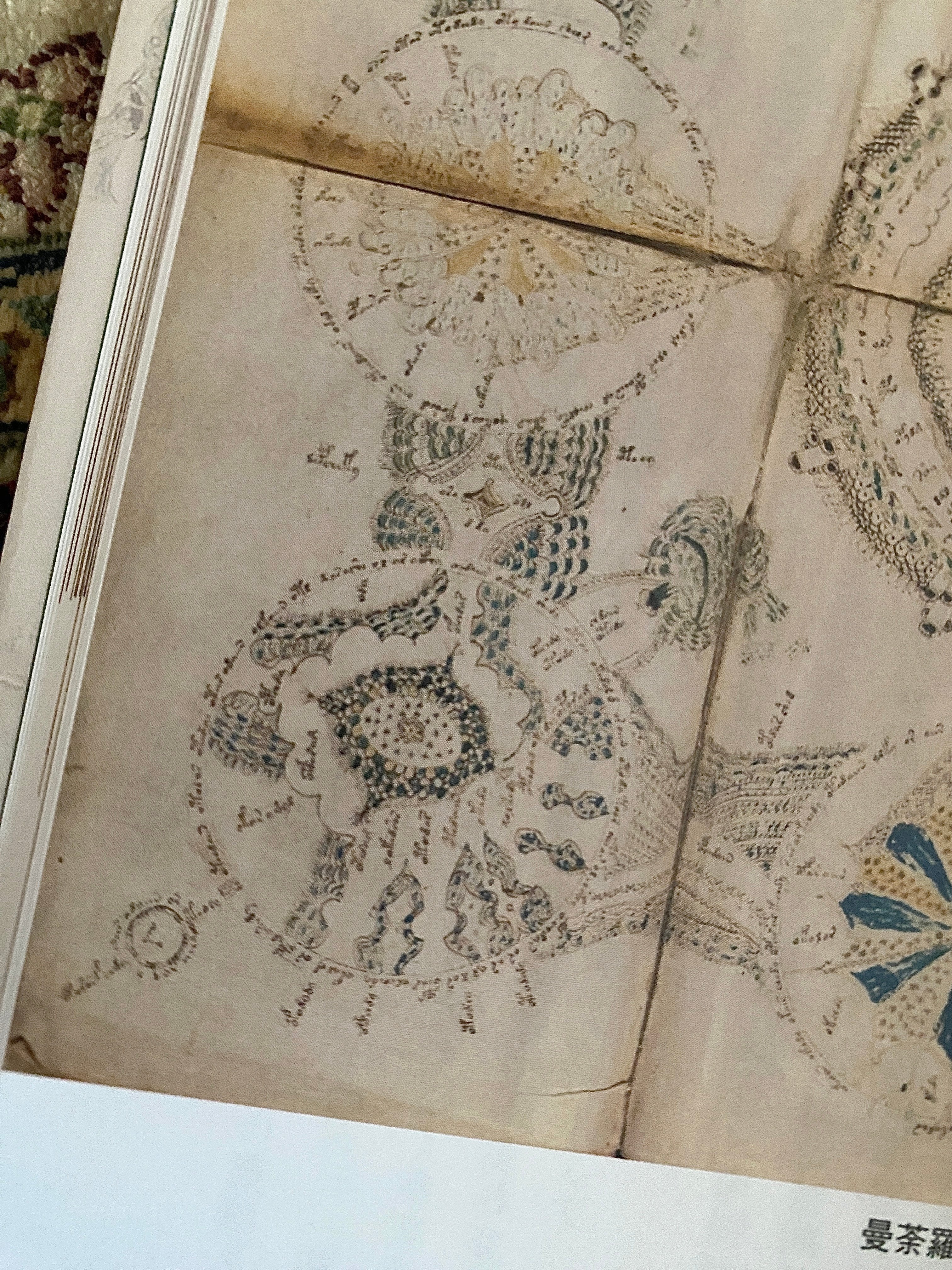 ヴォイニッチ手稿の秘密』 ーVoynich Manuscript｜Lulu's Cabinet