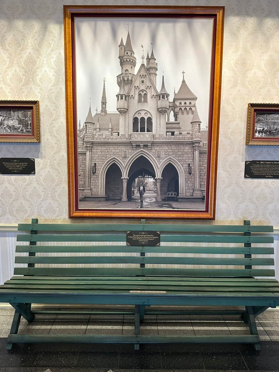 ディズニーランド 感想 2023/10/3-10/5｜ちね