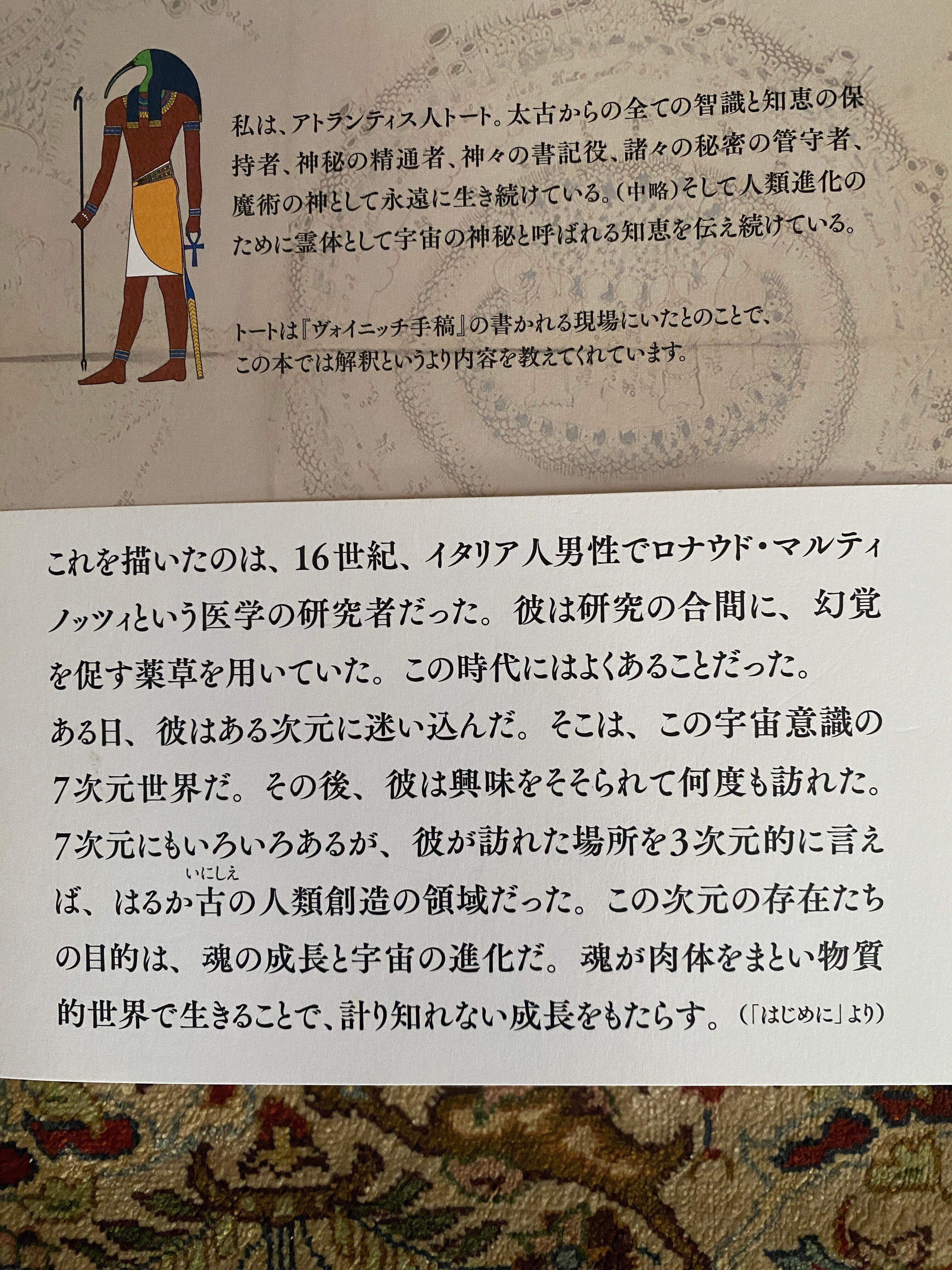 ヴォイニッチ手稿の秘密』 ーVoynich Manuscript｜Lulu's Cabinet