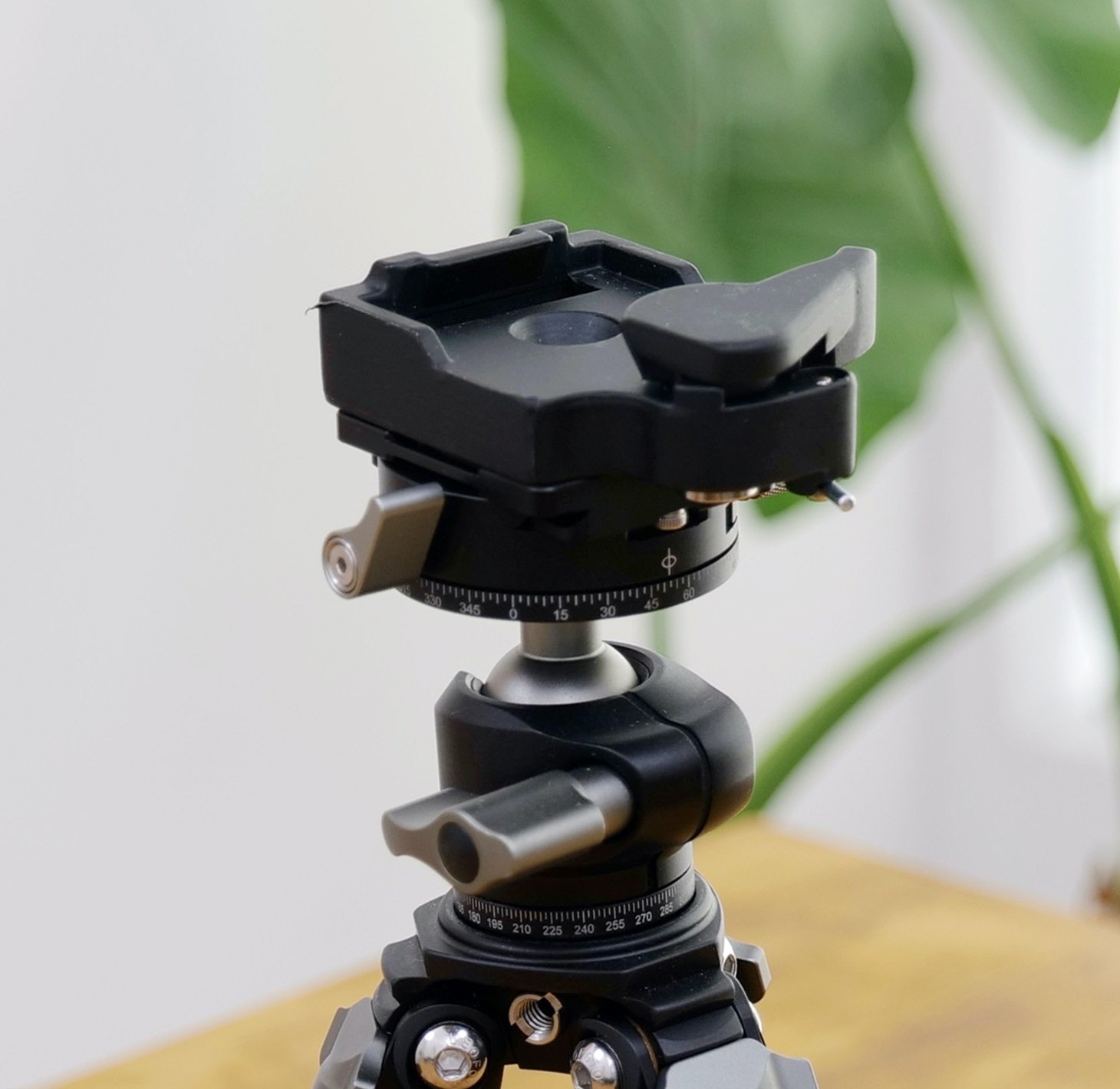 小さいけど頼りになります【Leofoto】ミニ三脚と雲台、その実力