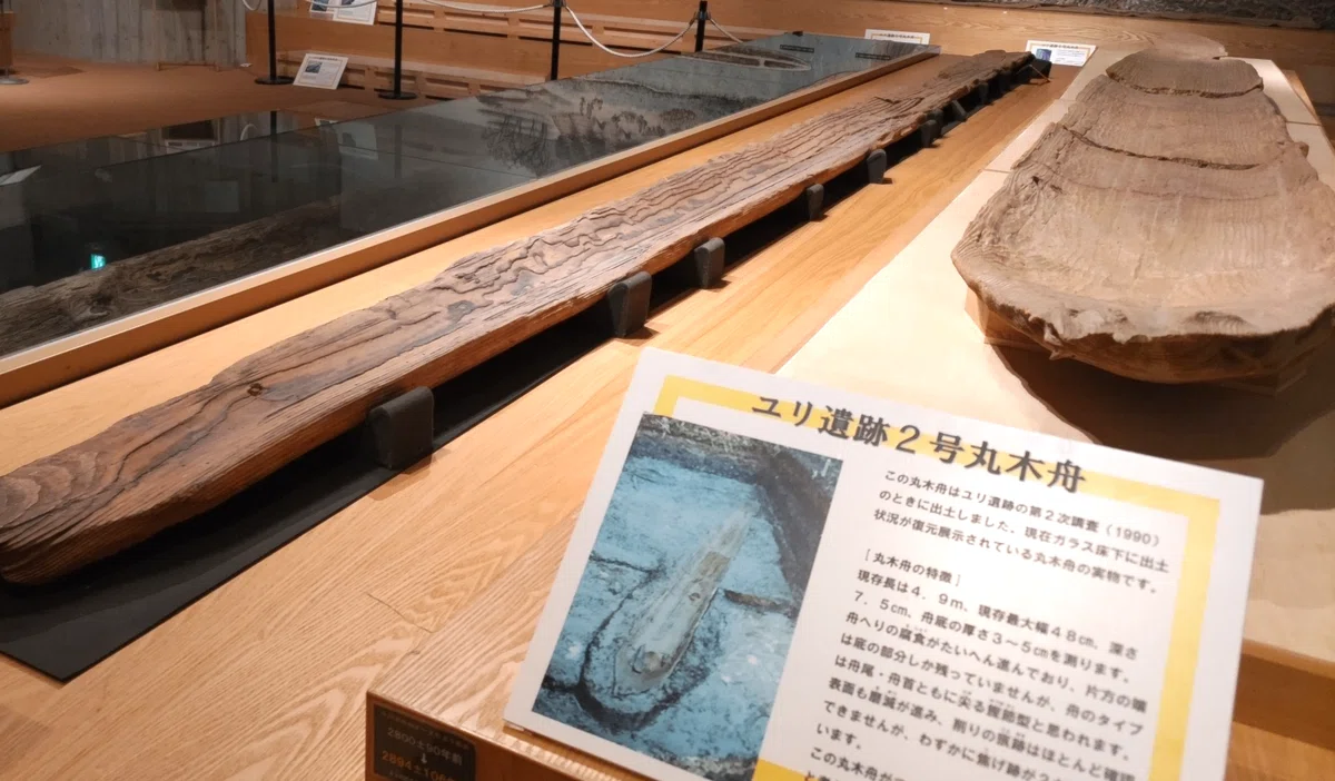 太郎の生きた縄文時代 「鳥浜貝塚と若狭三方縄文博物館」|福井縄文旅|のんてり