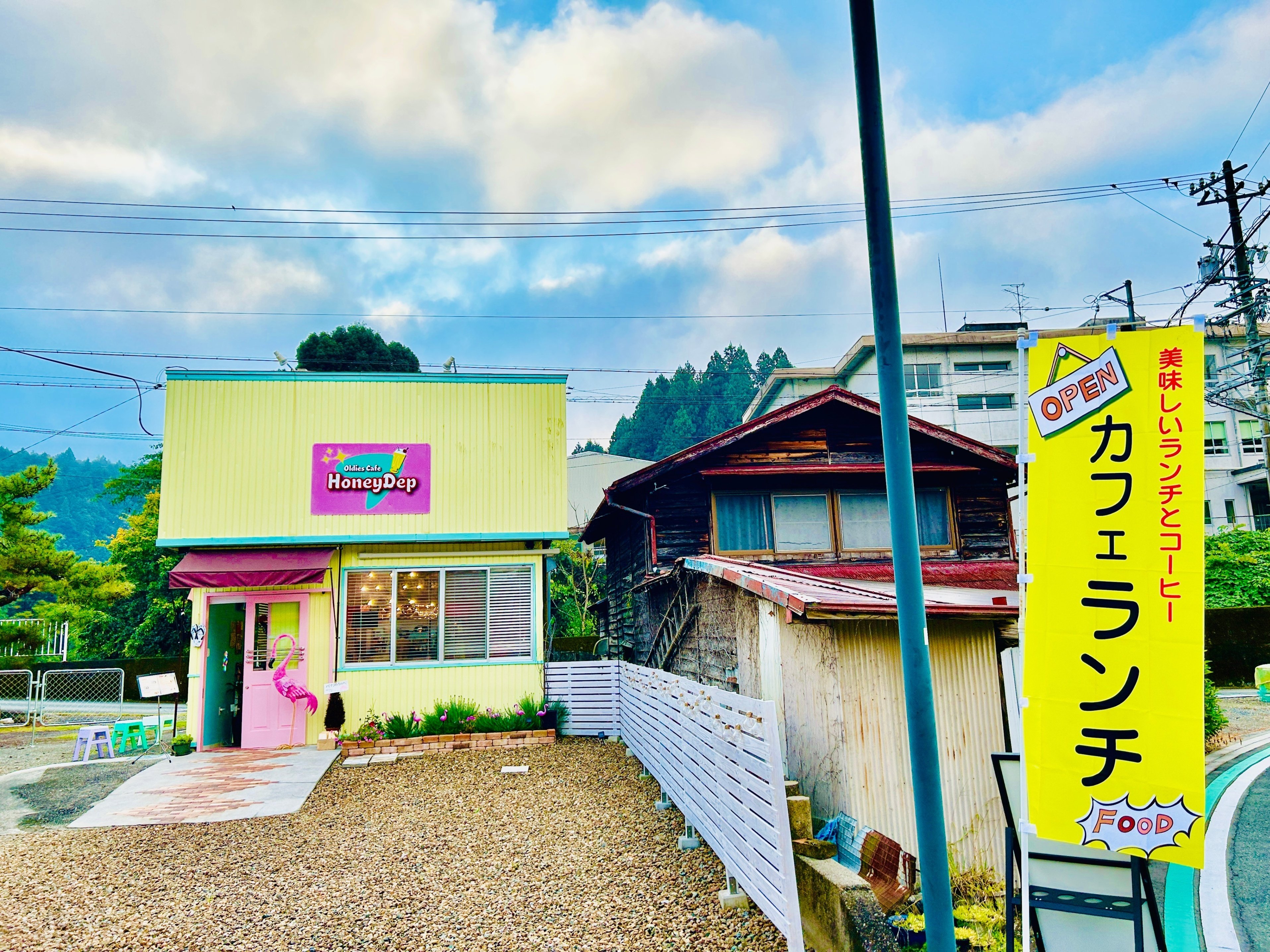 実は可愛くて面白い！爬虫類のワークショップを、ハニーディップで開催