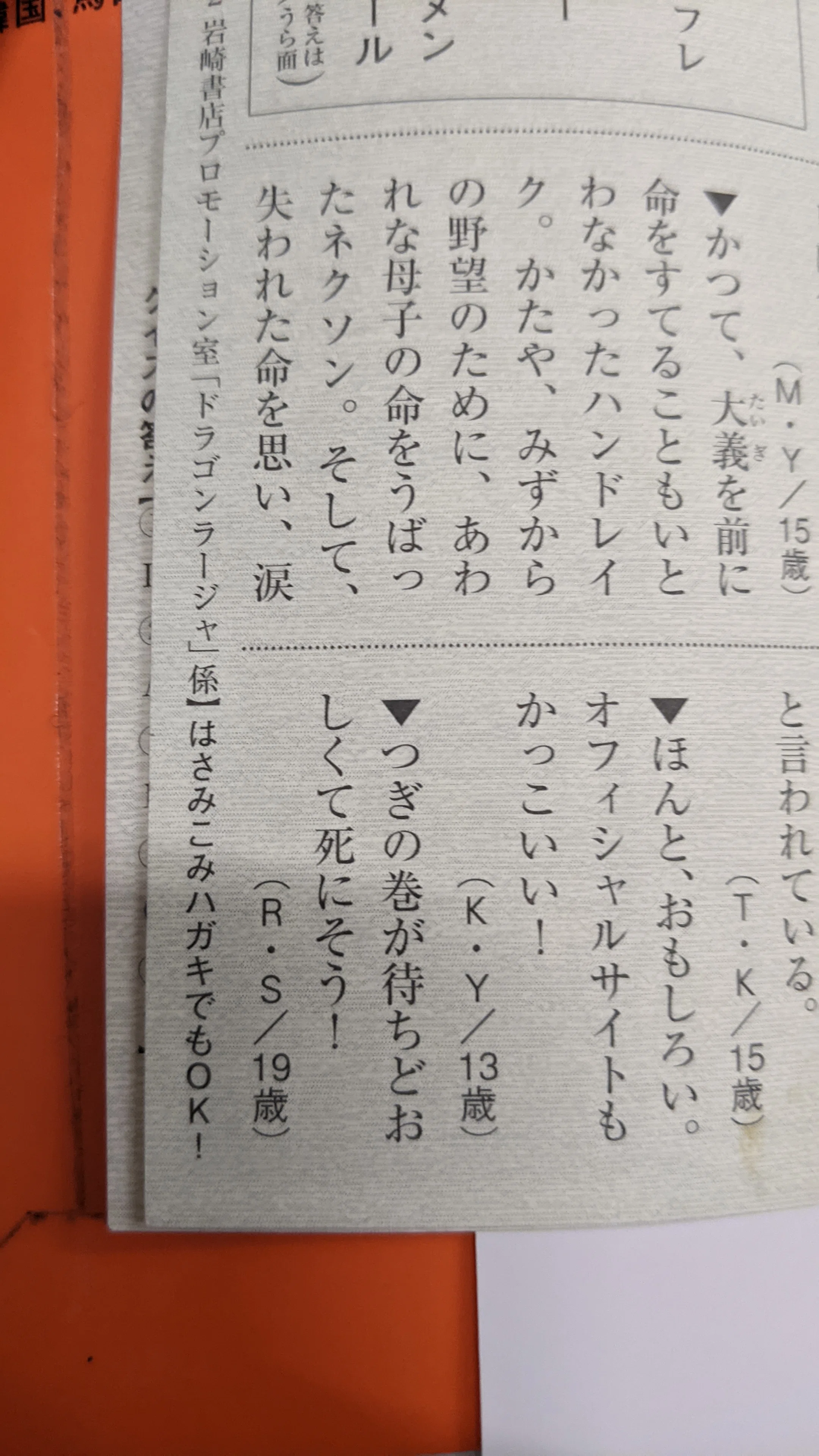ドラゴンラージャの私的偏愛ポイント備忘録｜shikada