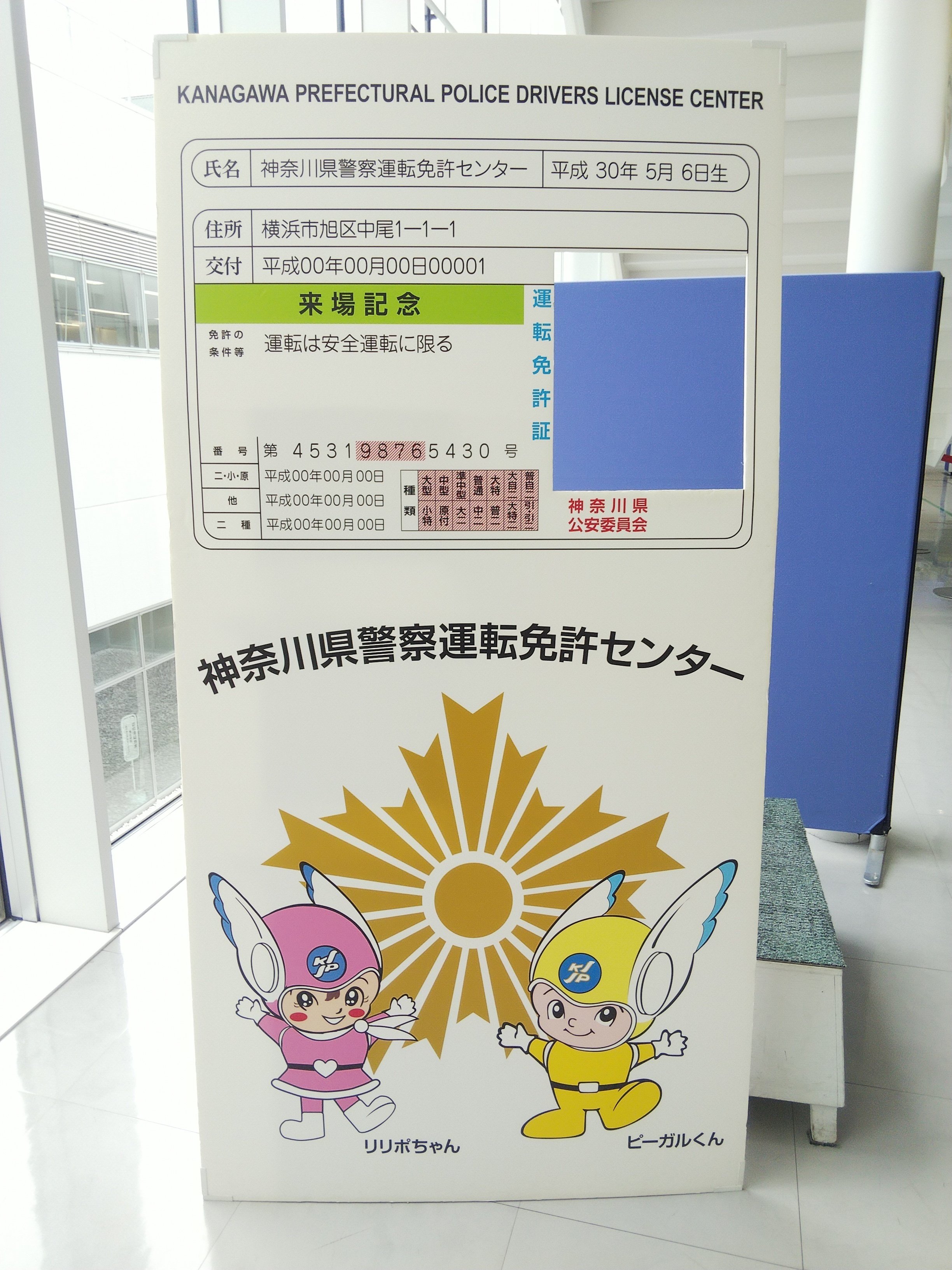 運転免許証の更新｜べるつく