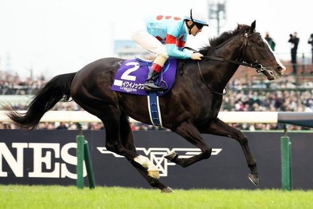 国内外の人気 イクイノックス 国内G1 全7戦 現地がんばれ馬券 皐月賞 から コレクション