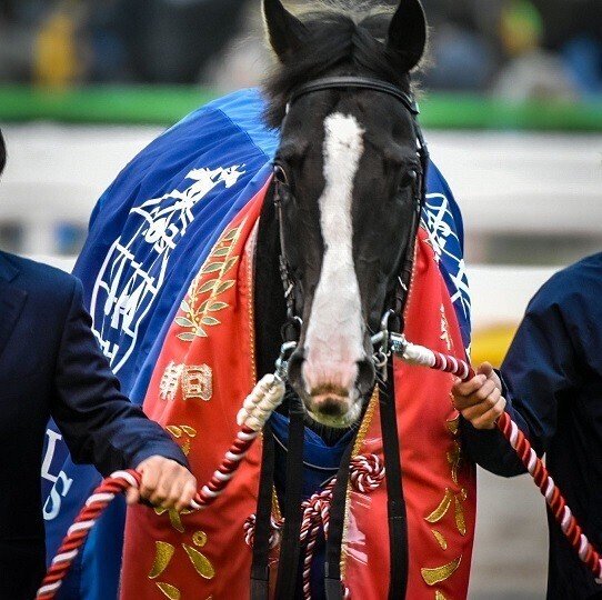 ジャパンカップ（G1）回顧】推奨馬イクイノックス1着…アカン!?｜Haya