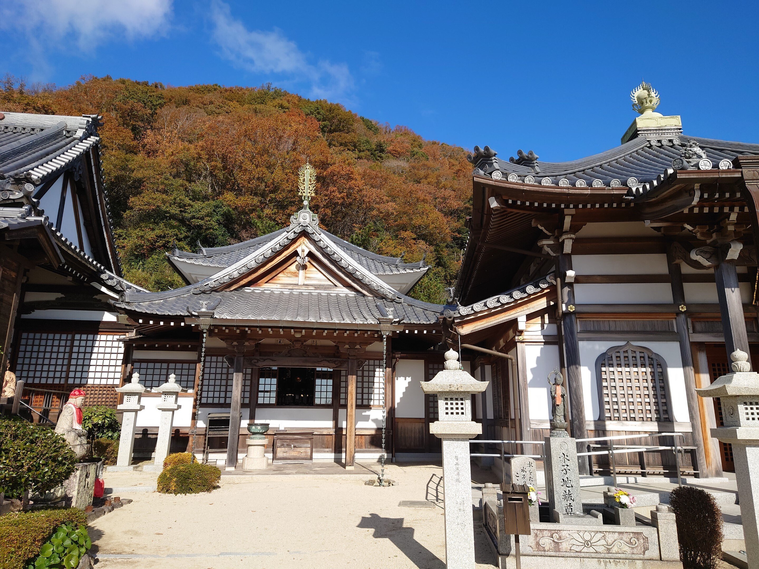 西宮市 神呪寺2021年11月28日【紅葉】｜レタス