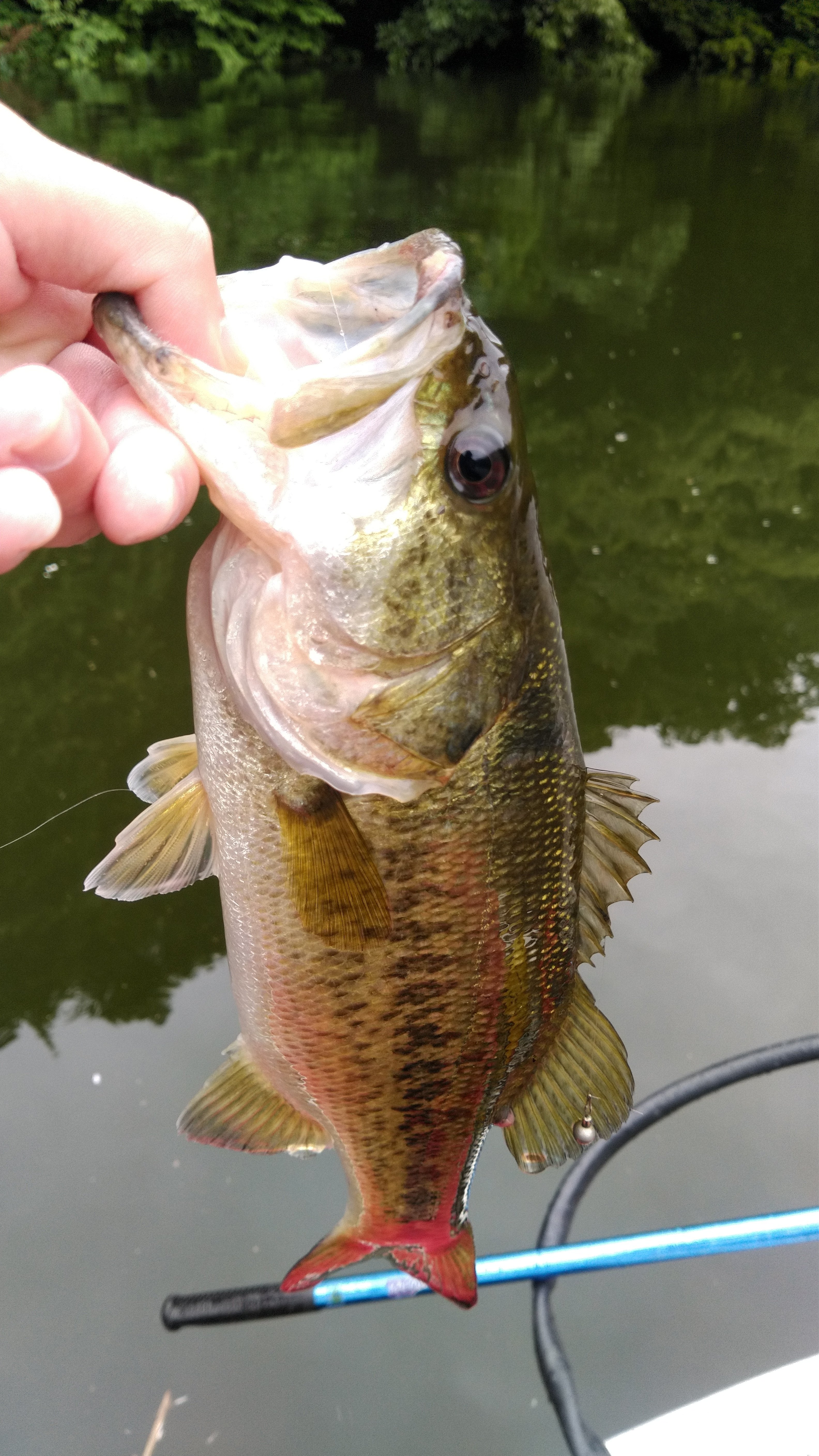 U-30ドリームトーナメント 津風呂湖編 プラ｜辛島 大