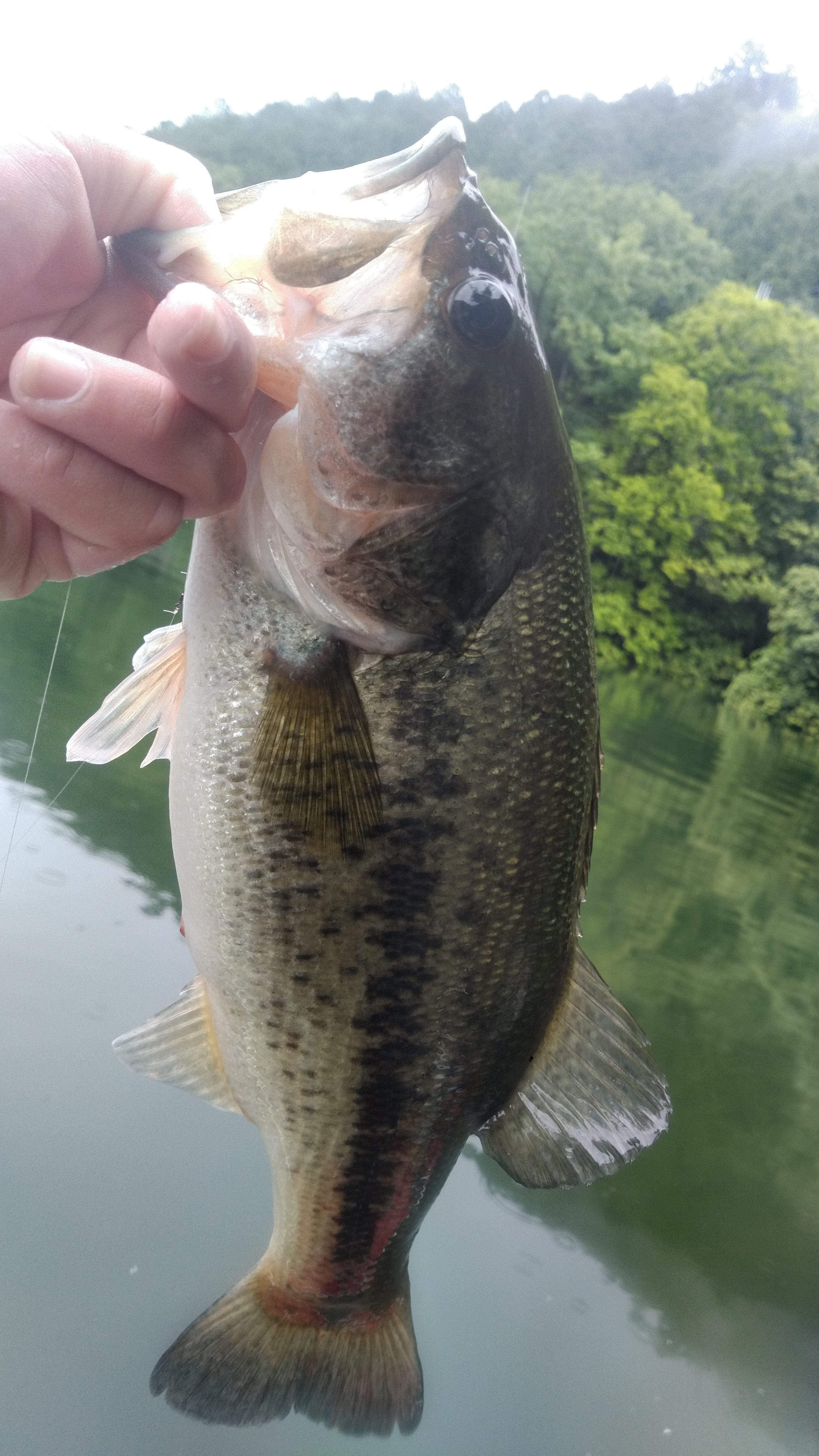 U-30ドリームトーナメント 津風呂湖編 プラ｜辛島 大