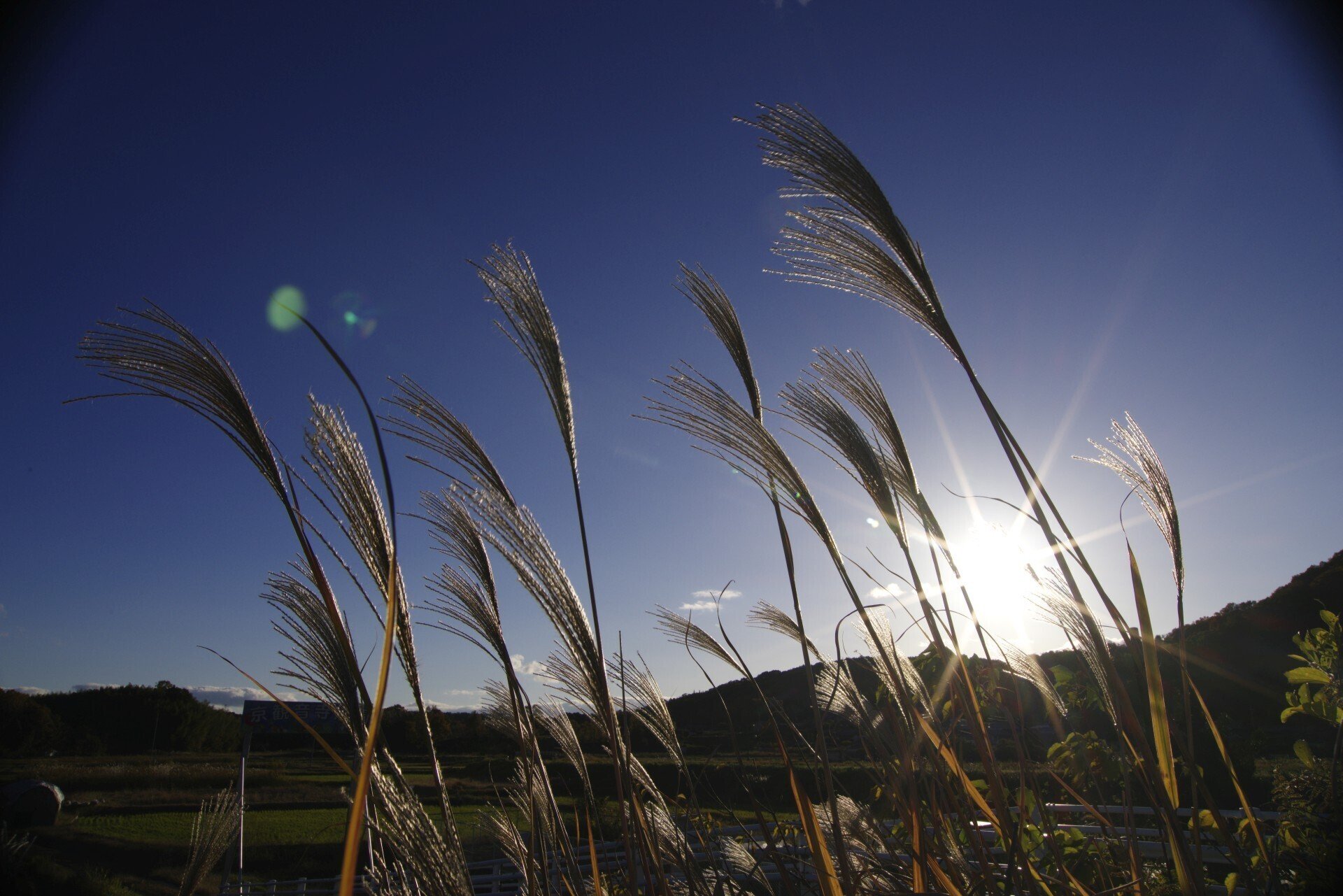 時には違うことをする(J limited 01 / smc PENTAX-DA 12-24mmF4 時には違うことをする(J limited 01 / smc PENTAX-DA 12-24mmF4