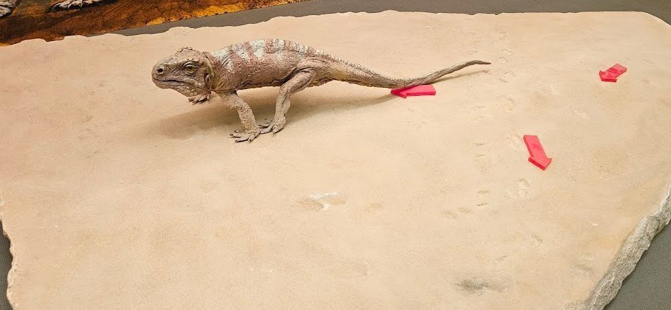 The Lost Universe 巨大単弓類②巨大盤竜類｜美原さつき