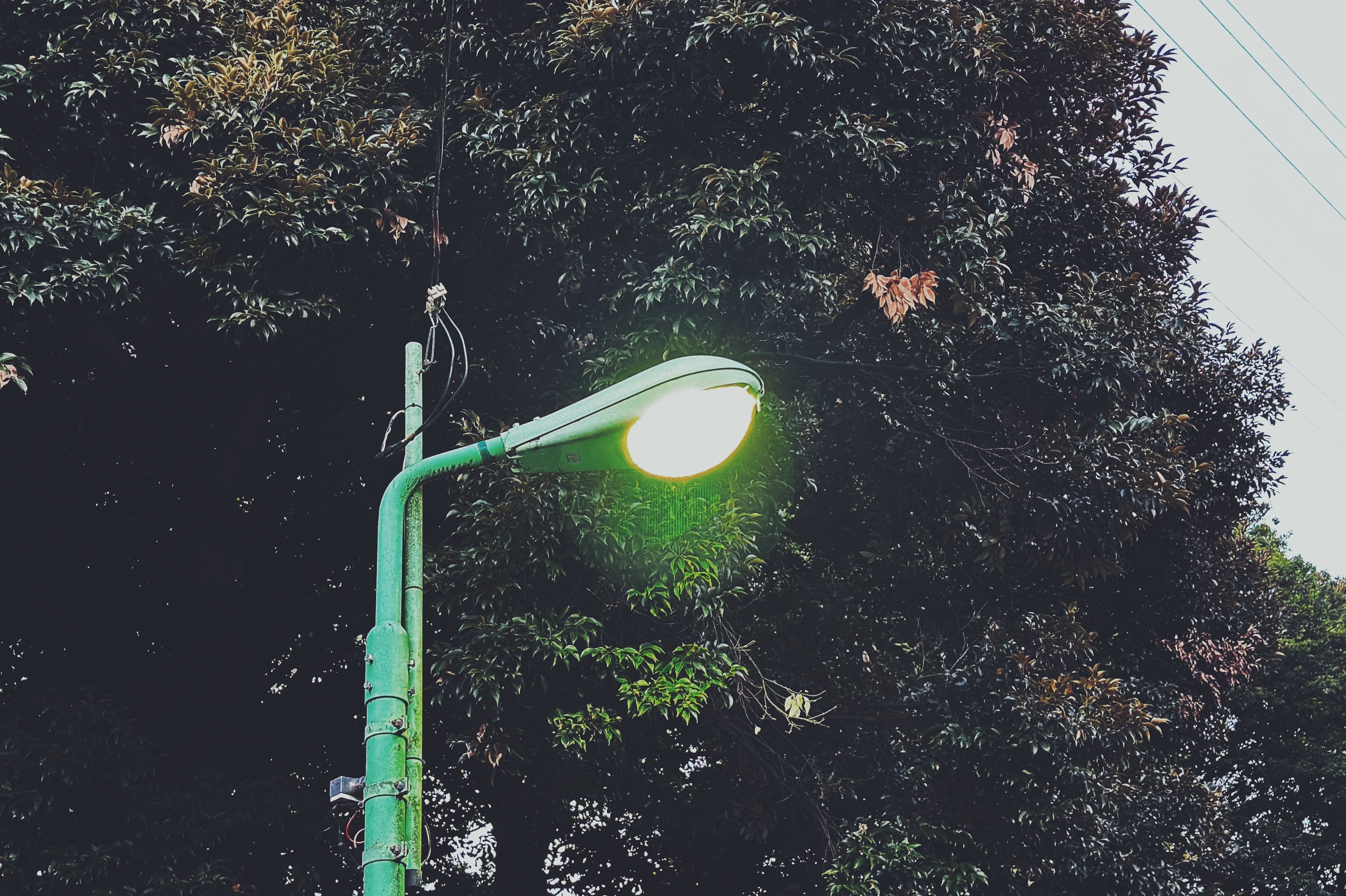 水銀灯 5971|稲垣純也