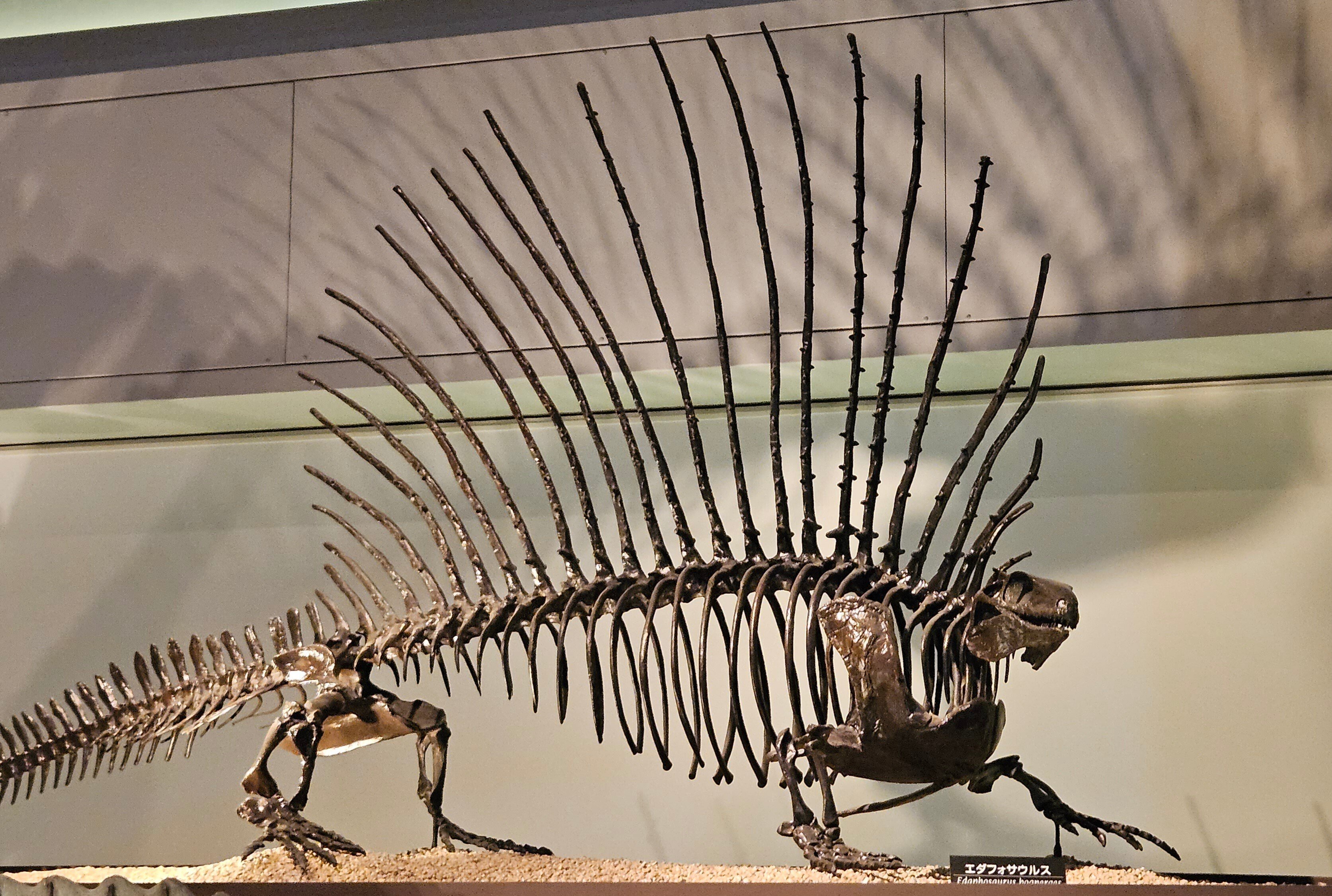 The Lost Universe 巨大単弓類②巨大盤竜類｜美原さつき