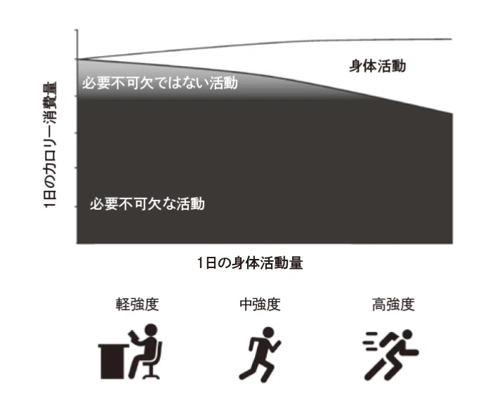 身体活動量の増加に伴い、必要不可欠でない活動へのエネルギー配分が減っていく様子を示した図