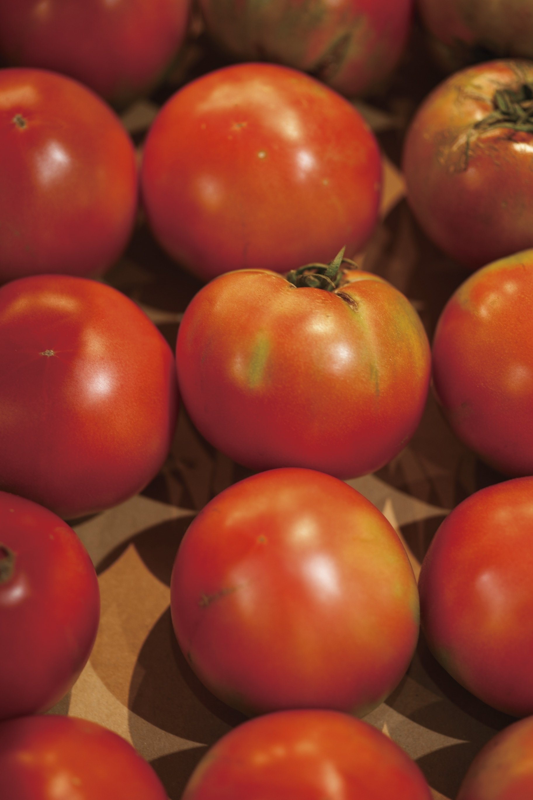 夏の太陽をたっぷりと浴びて育った完熟トマトの旨みをギュッと凝縮