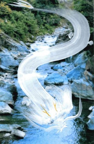 白い龍「ポウ」の物語【1】短編～｜麦の穂ふわり
