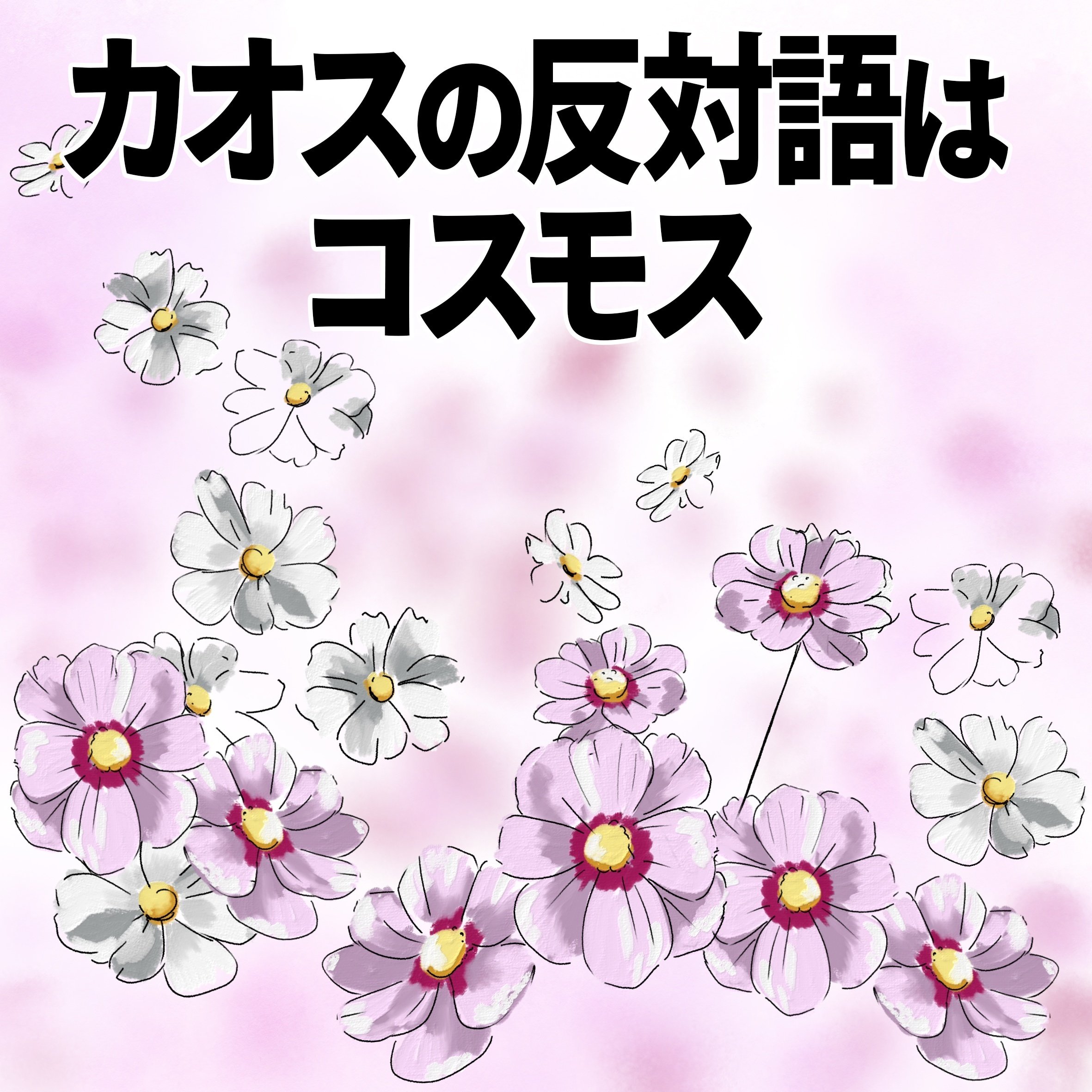 カオスの反対語はコスモス｜くますけ｜自然ガイド・クリエイター