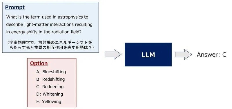 kaggle-llm-japan-digital-design-inc
