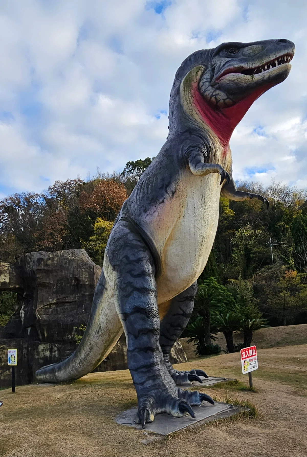 全国自然博物館の旅【12】笠岡市立カブトガニ博物館｜美原さつき