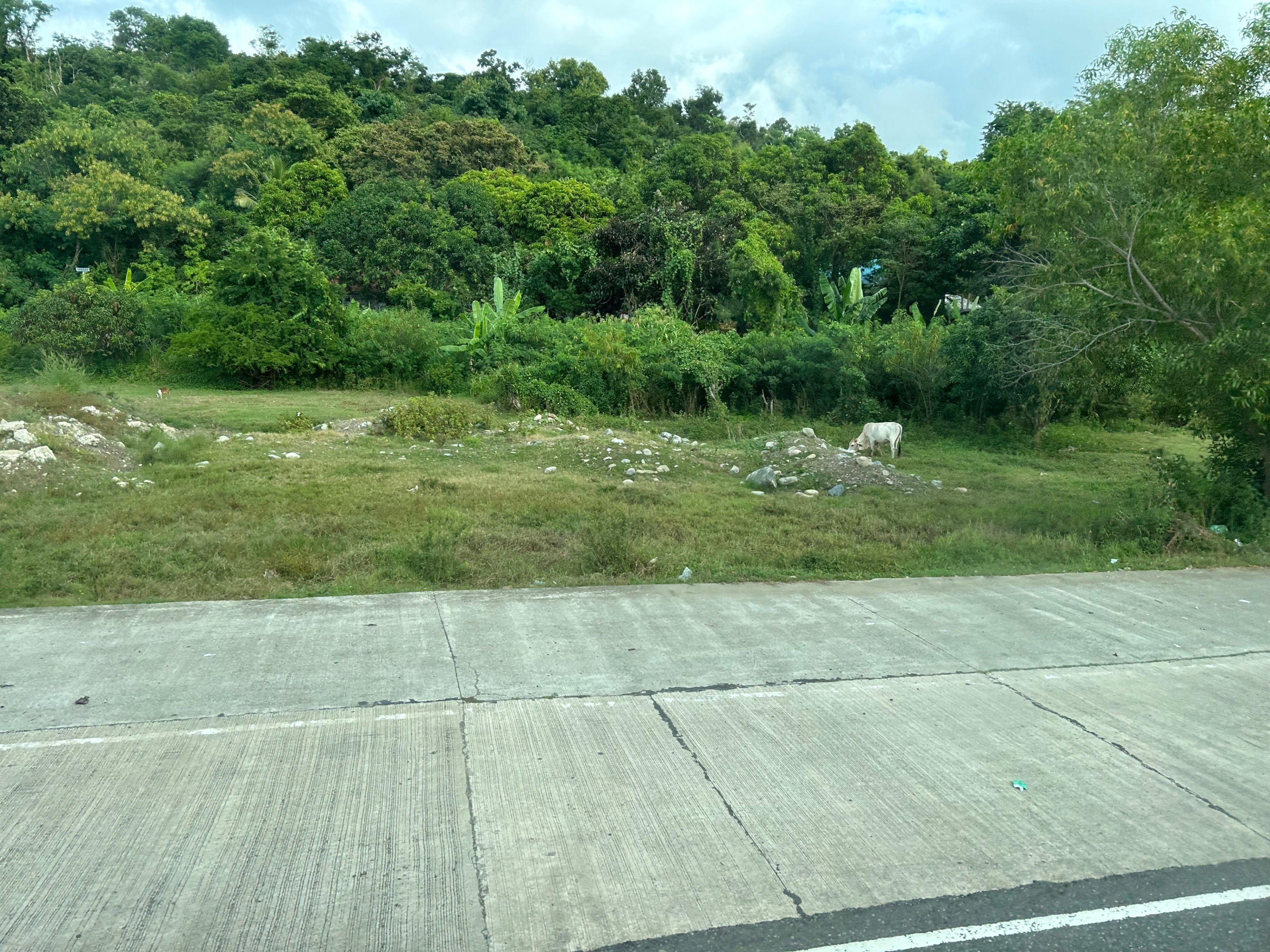 フィリピン旅行記〜旅行本番編その3:2日目 ルソン島大移動｜zm45
