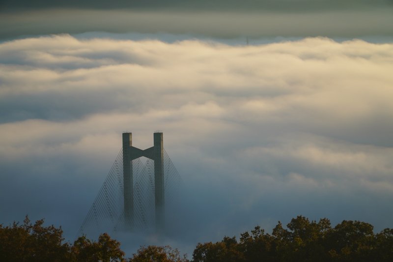 秩父公園橋と雲海の写真
