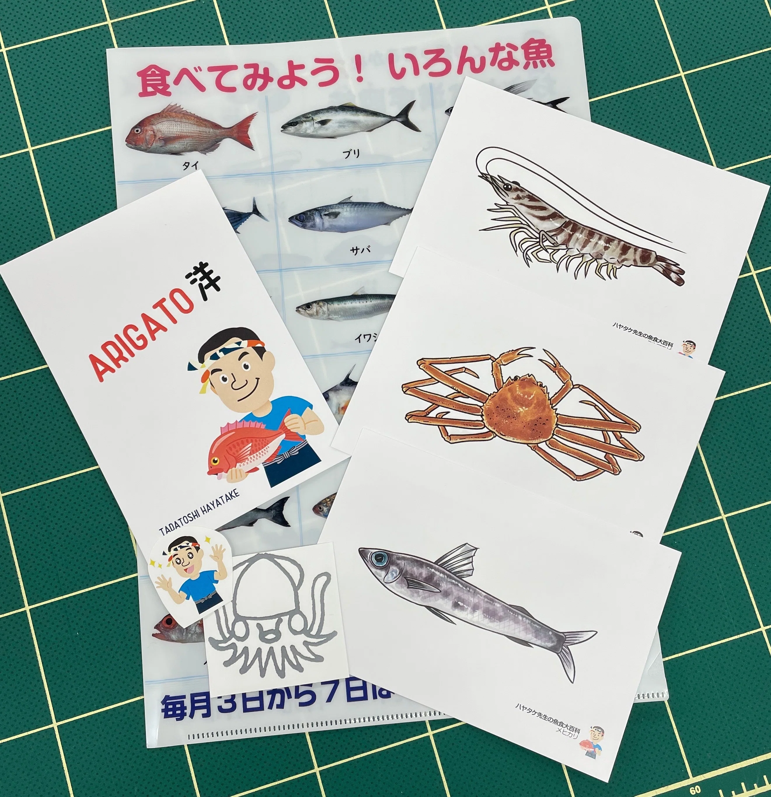 非常に良い】海の動物百科〈2〉魚類1 【公式通販】