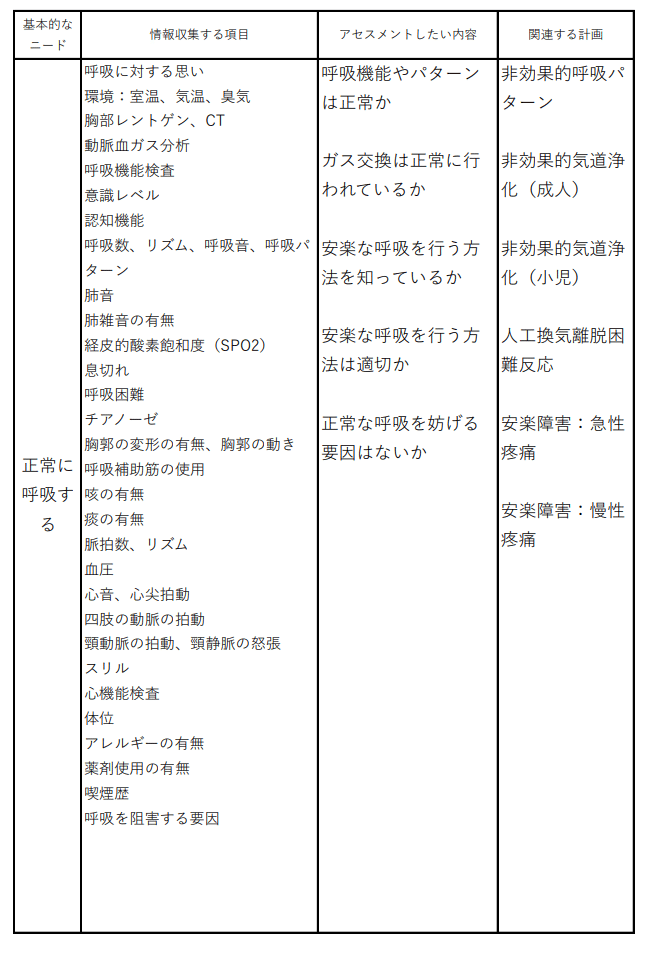 14項目アセスメントセット看護学生看護過程・記録
