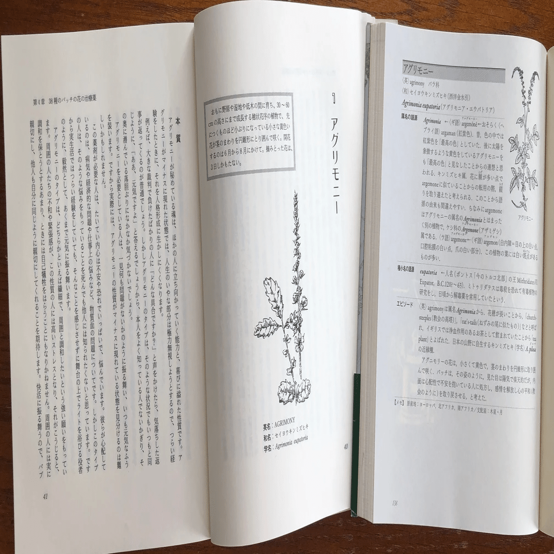 ハーブ学名語辞典 ハーブ学名語源辞典
