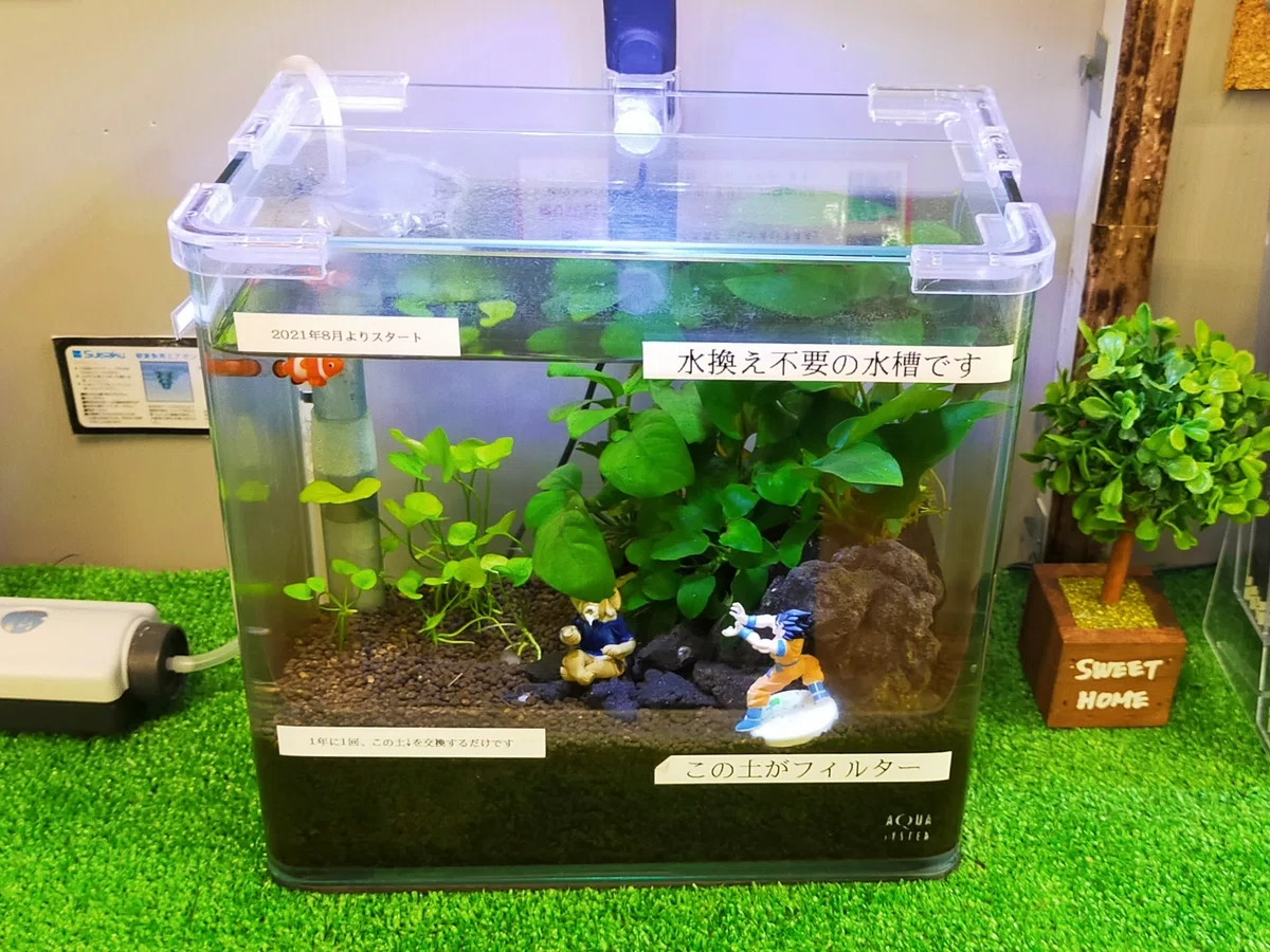 水槽と全てセット(東京取りに来てくれる方限定) わん