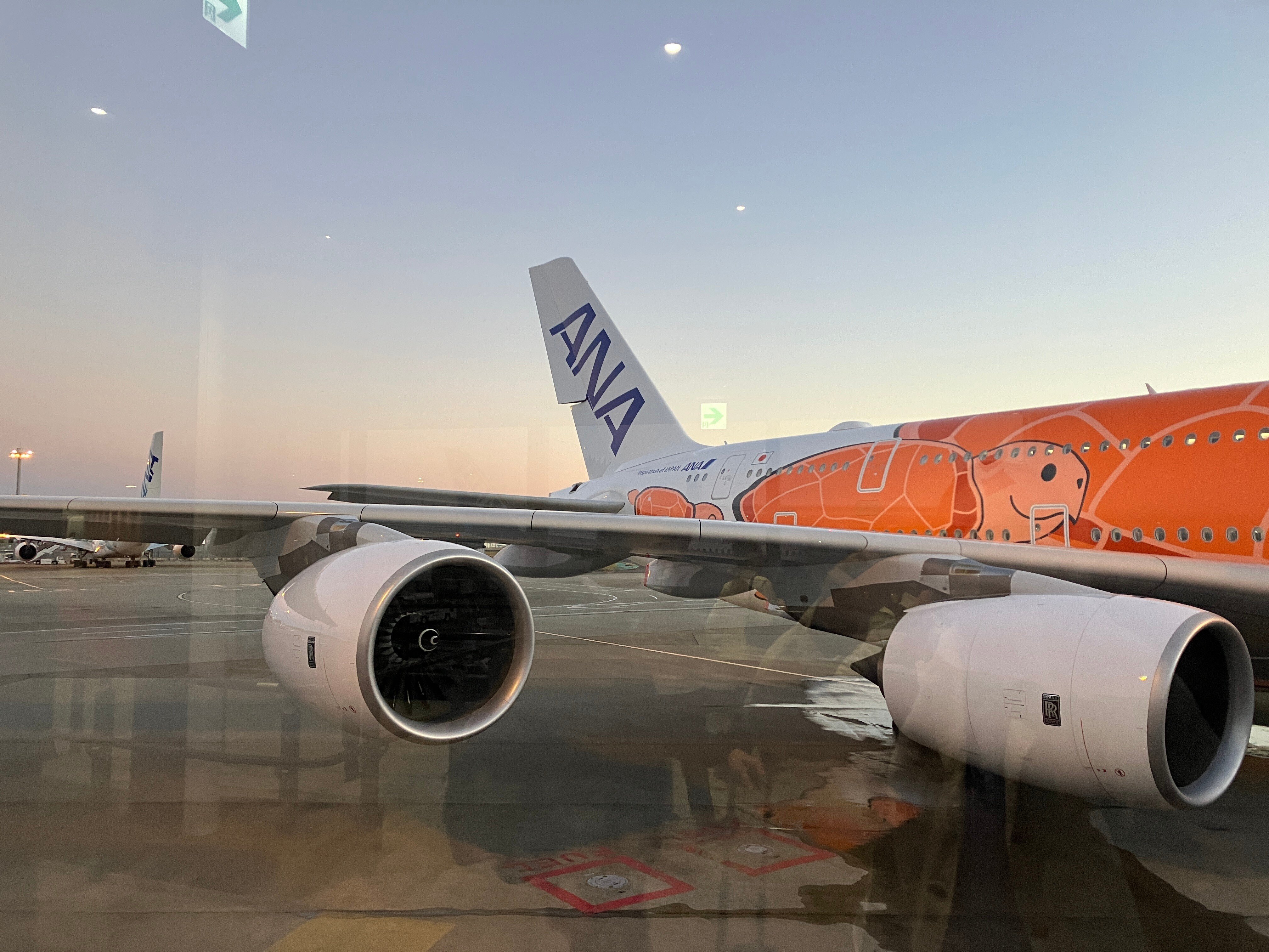 ANAフライングホヌ三兄弟｜あちこち てくてく