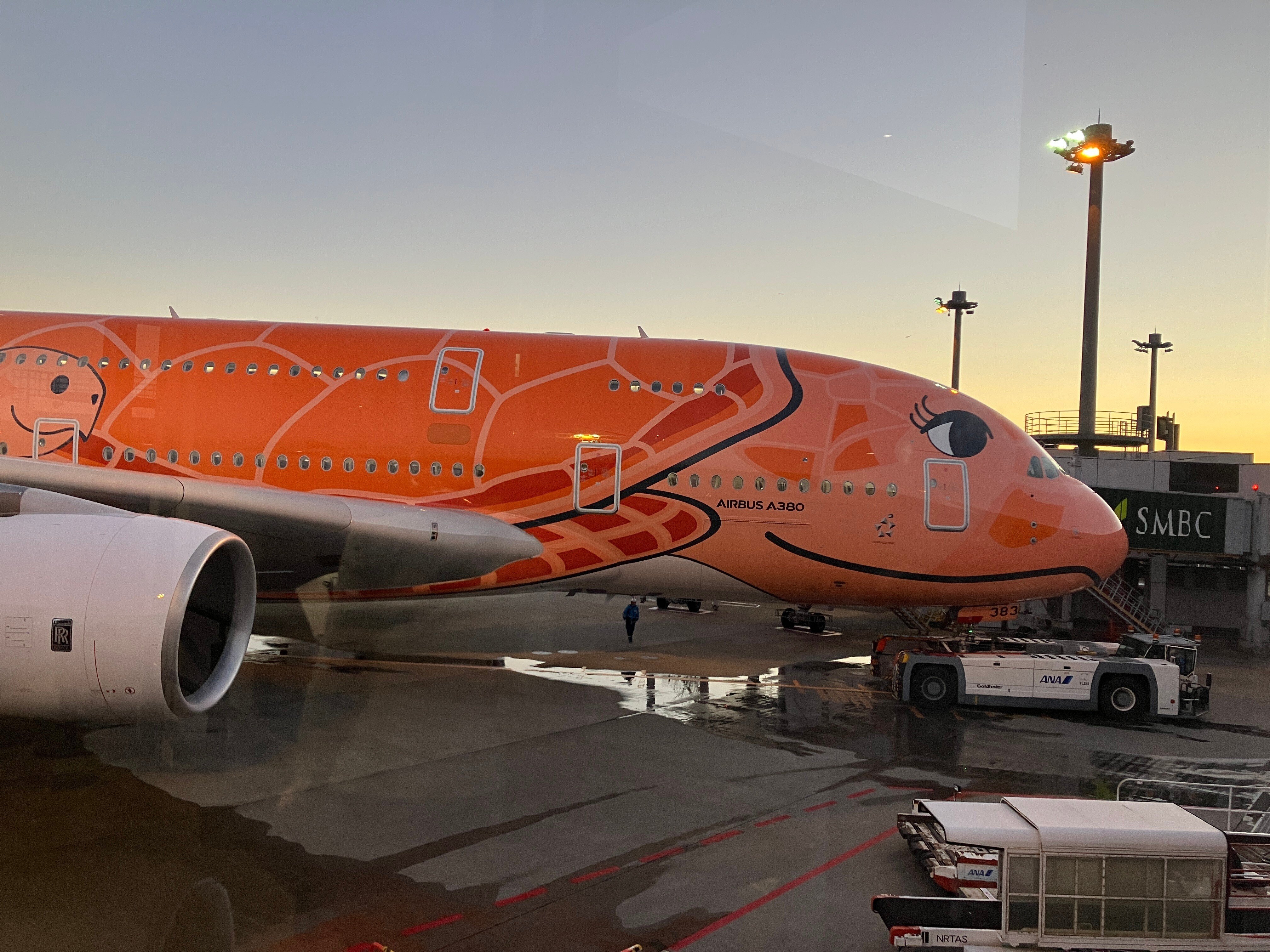 ANAフライングホヌ三兄弟｜あちこち てくてく