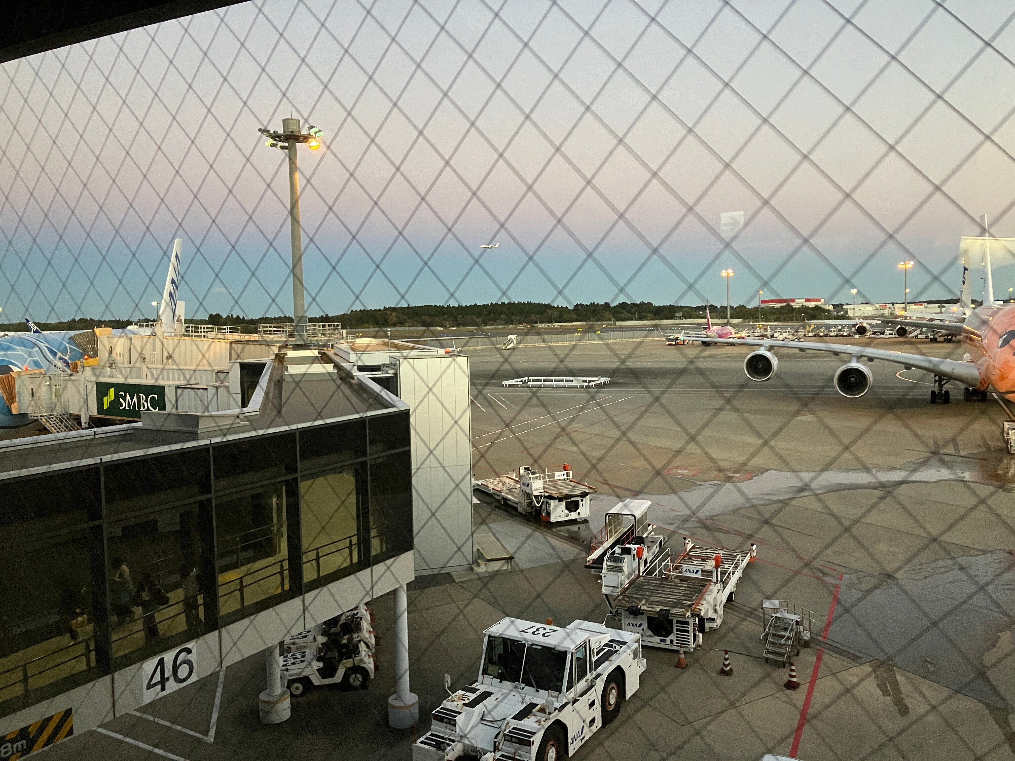 ANAフライングホヌ三兄弟｜あちこち てくてく