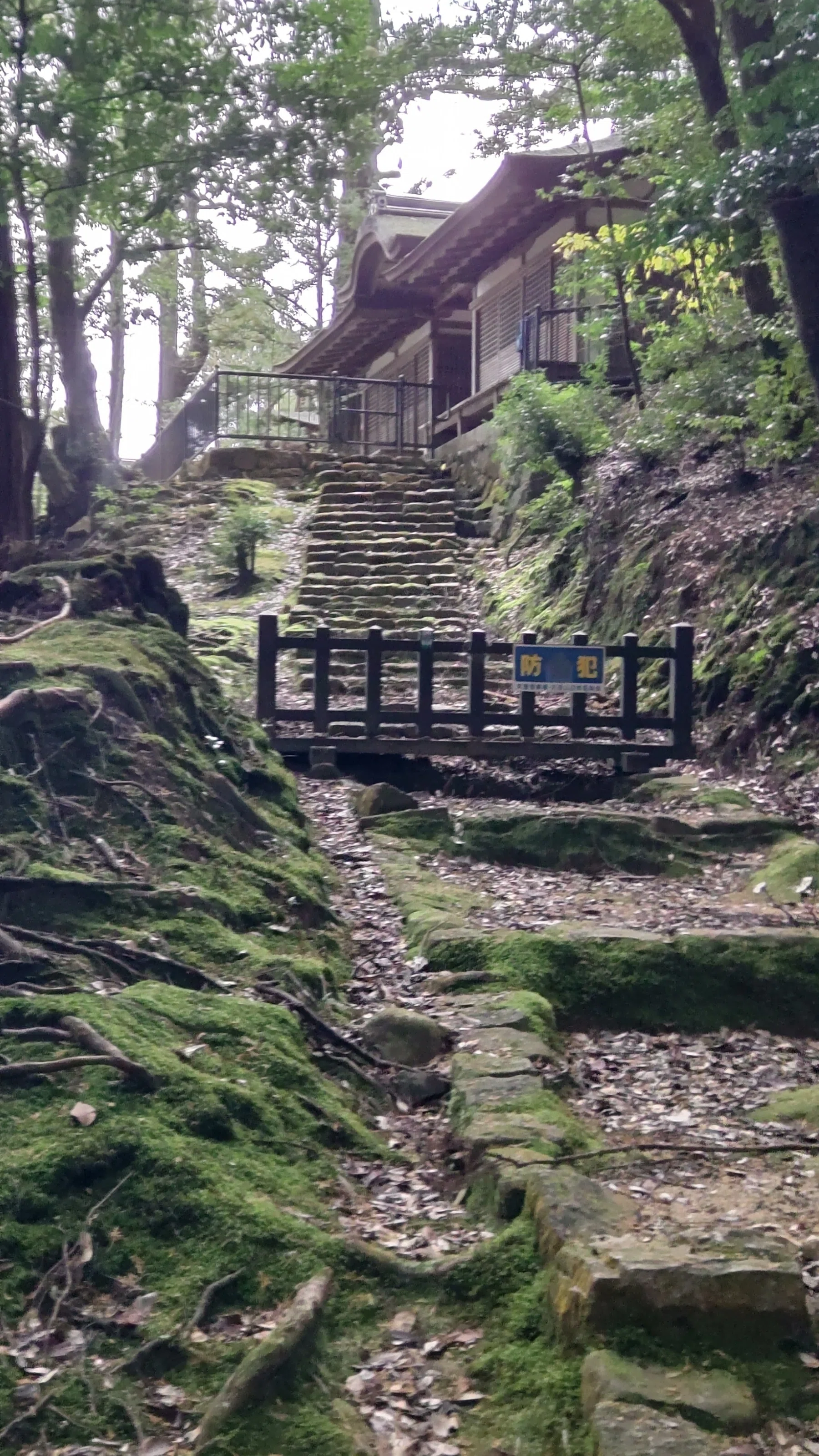 神の回廊たる石段｜しひな／琴と笛と文筆と旅と