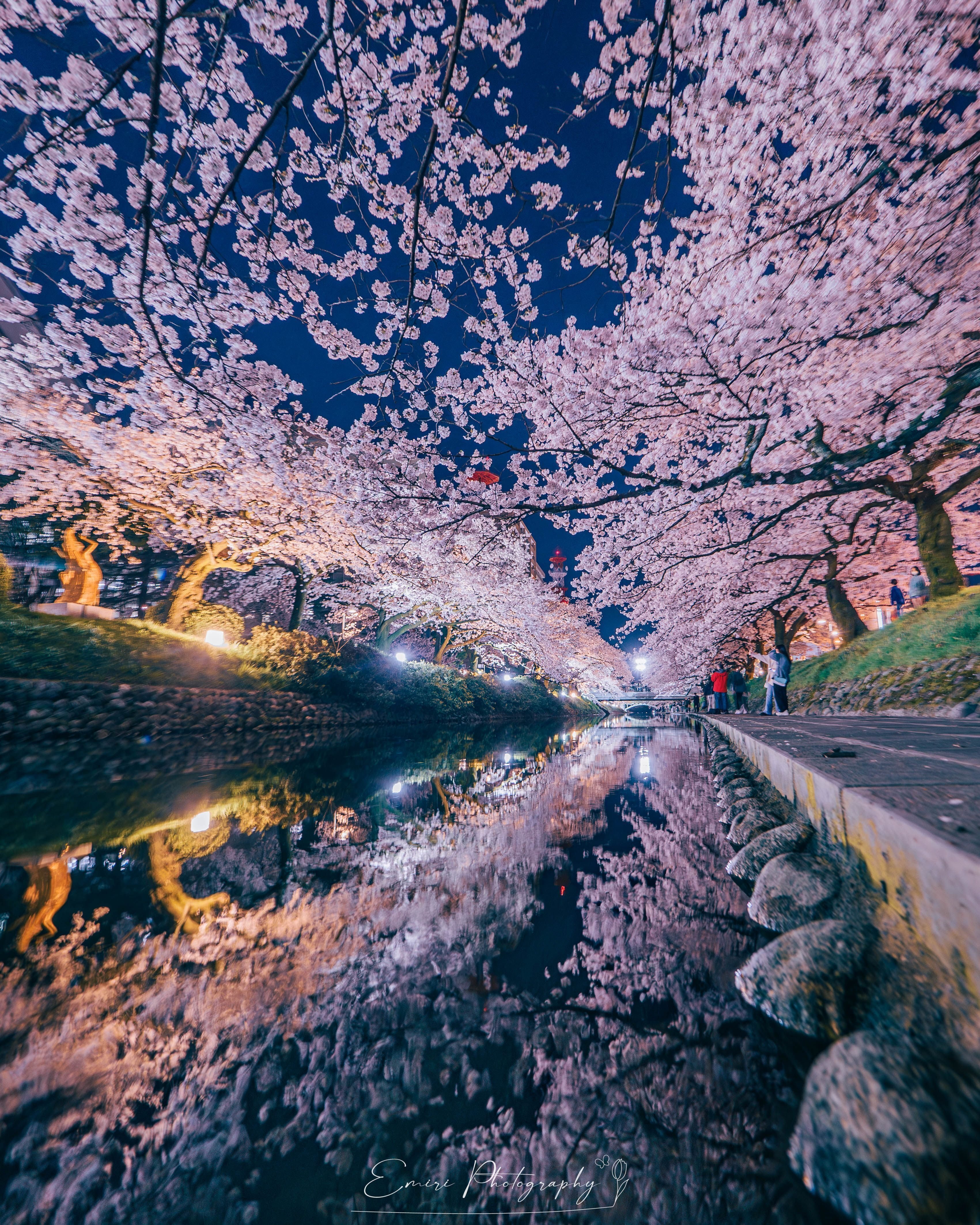 ✨極美品✨キャノン Powershot A3300 IS❤️日常スナップに！ キヤノン：ニュースリリース