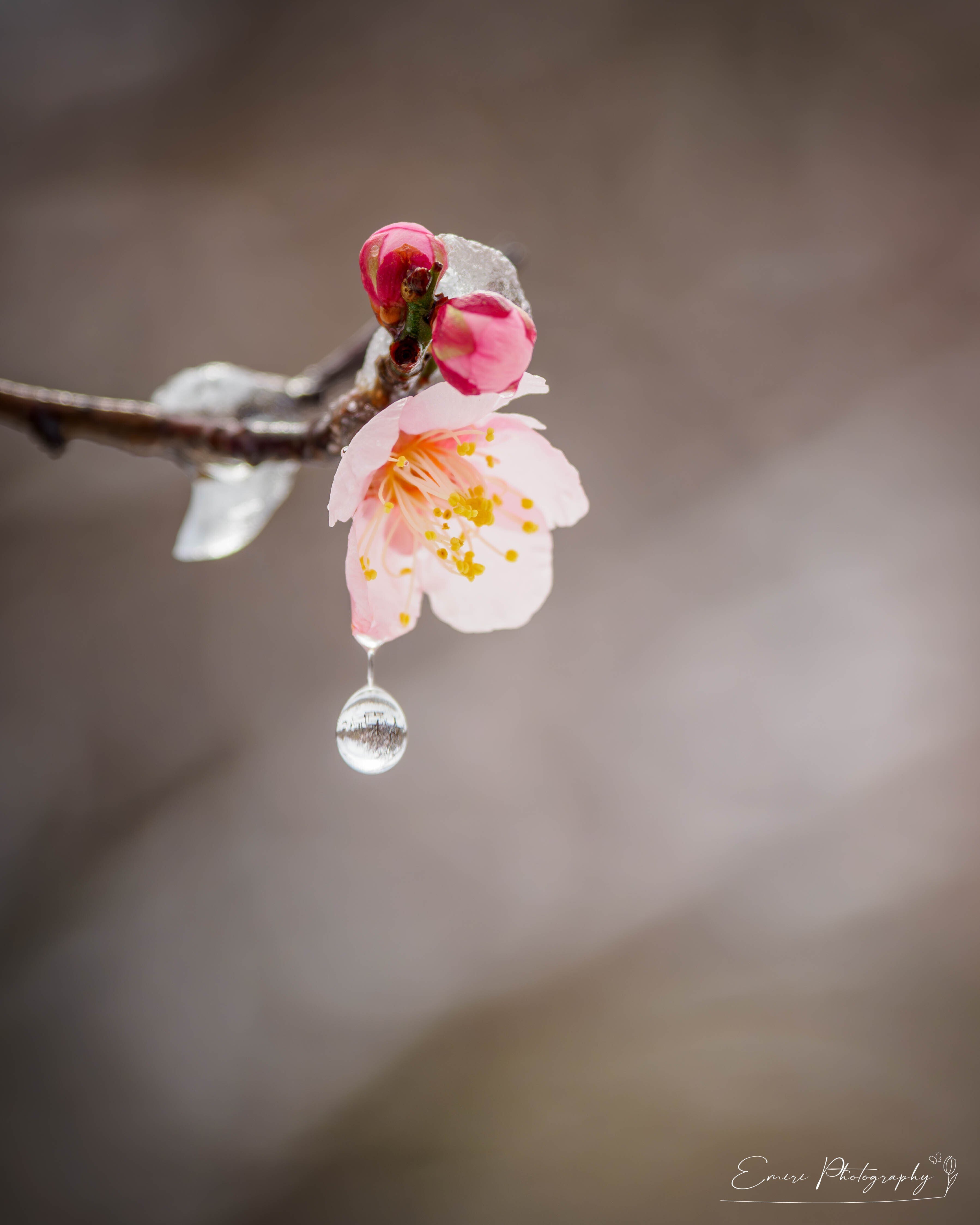 何気ない日常も自分らしく切り取る、表現の幅を広げるOM SYSTEM