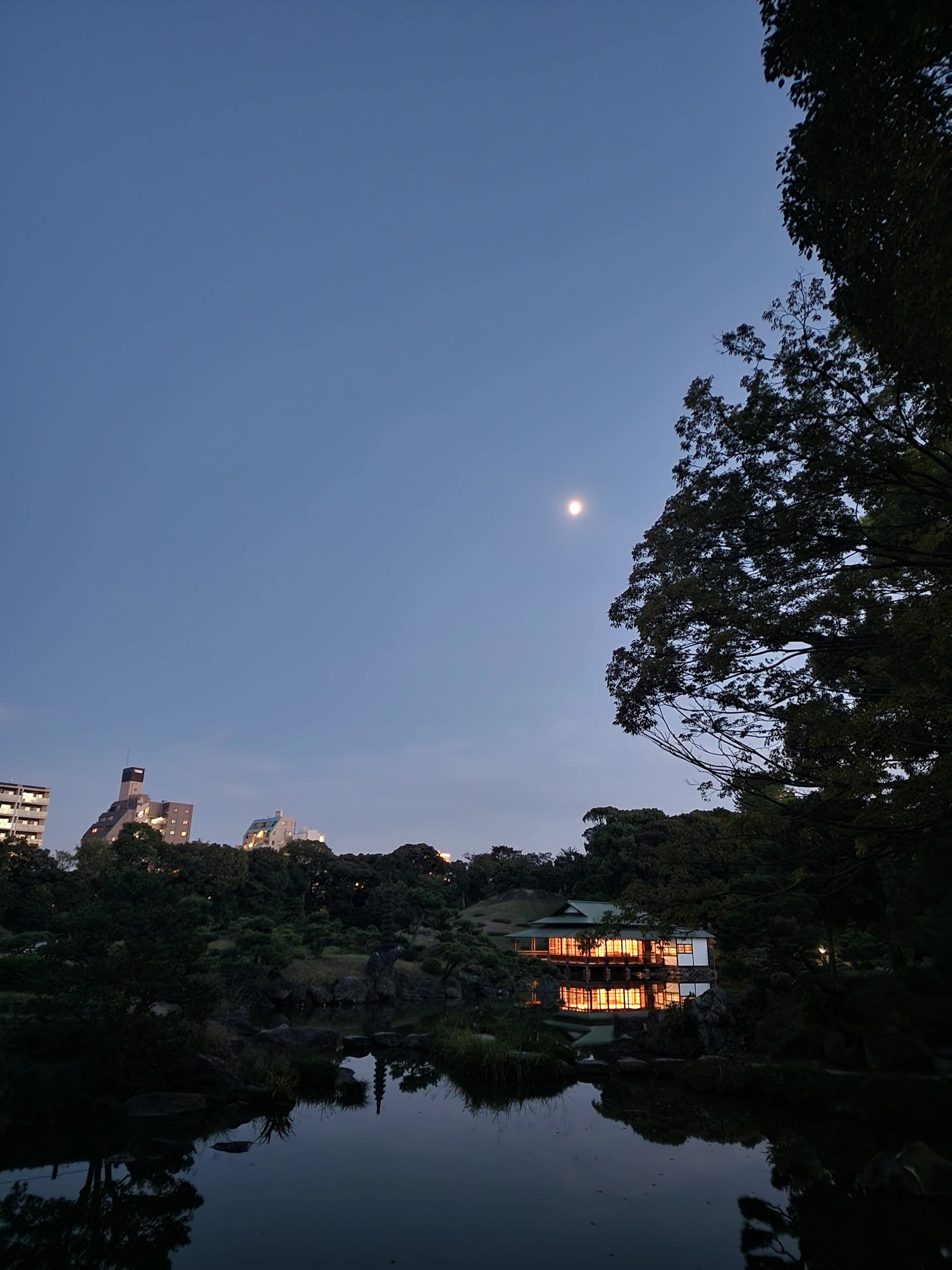 涼亭月見茶会を開催しました🌕｜国際茶の湯団体 茶柳会(さりゅうかい)