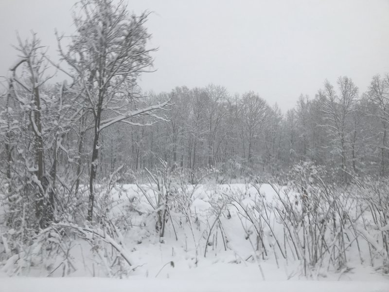 北海道の冬の景色はモノトーン。