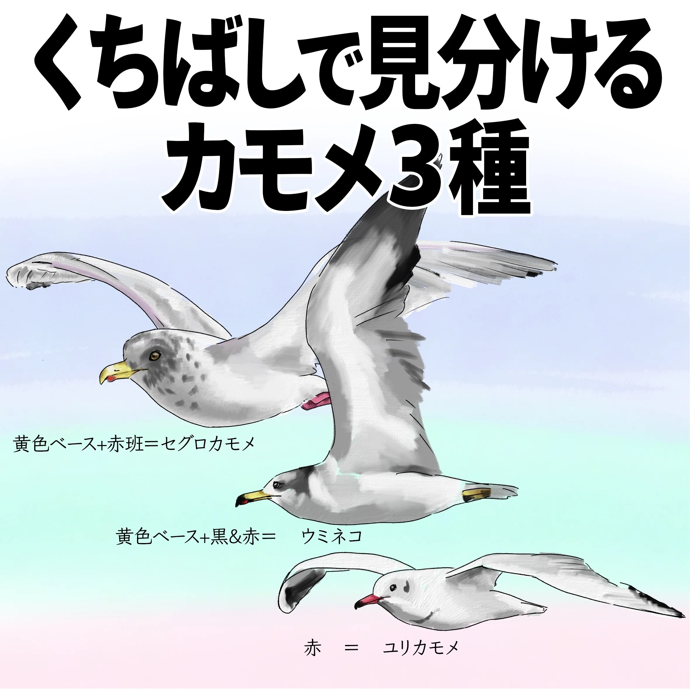 1701430744849-KdILcxSMgo.jpg