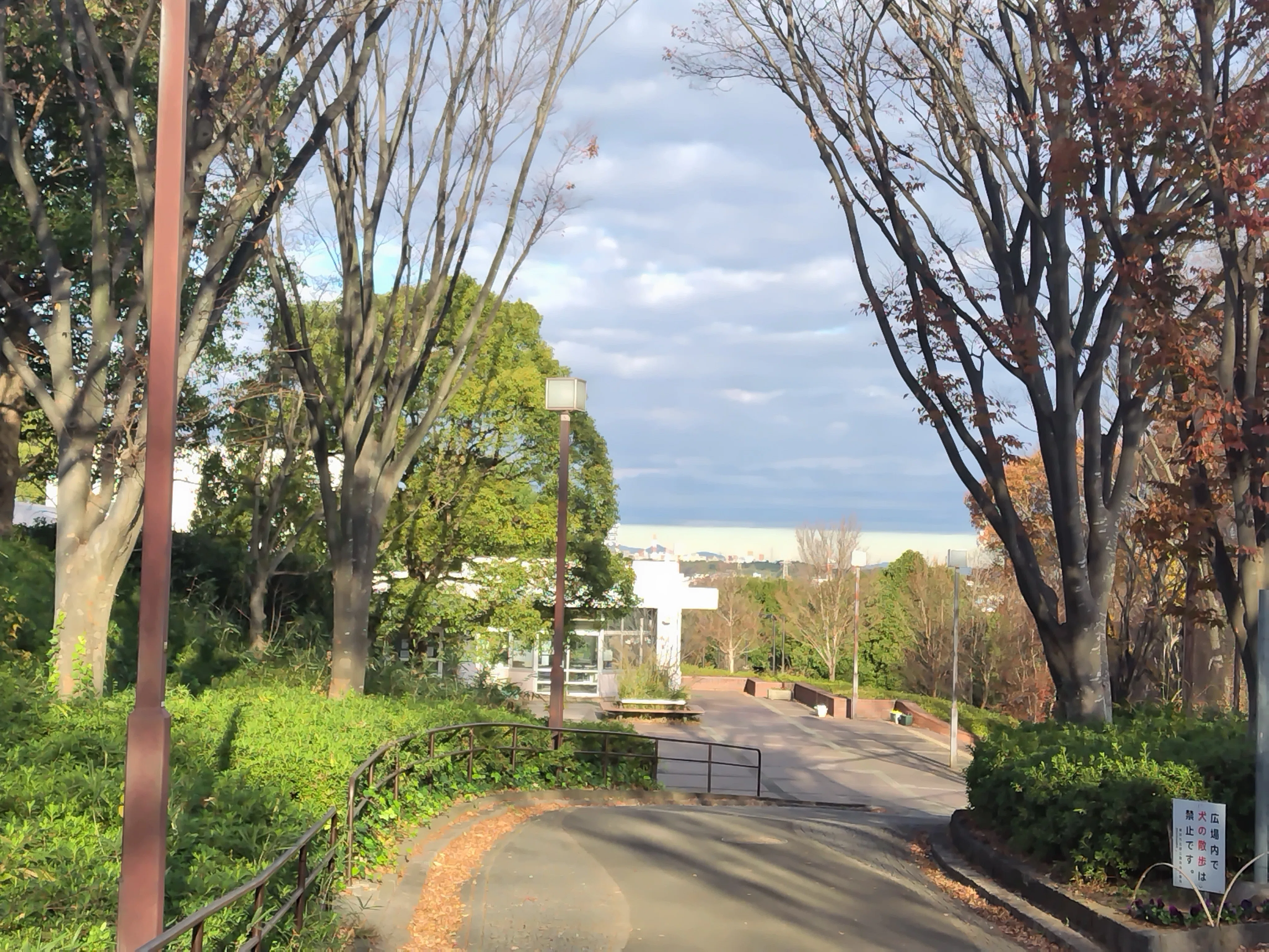 2023.12.01初冬の横浜市旭区の公園|PD’sFactory