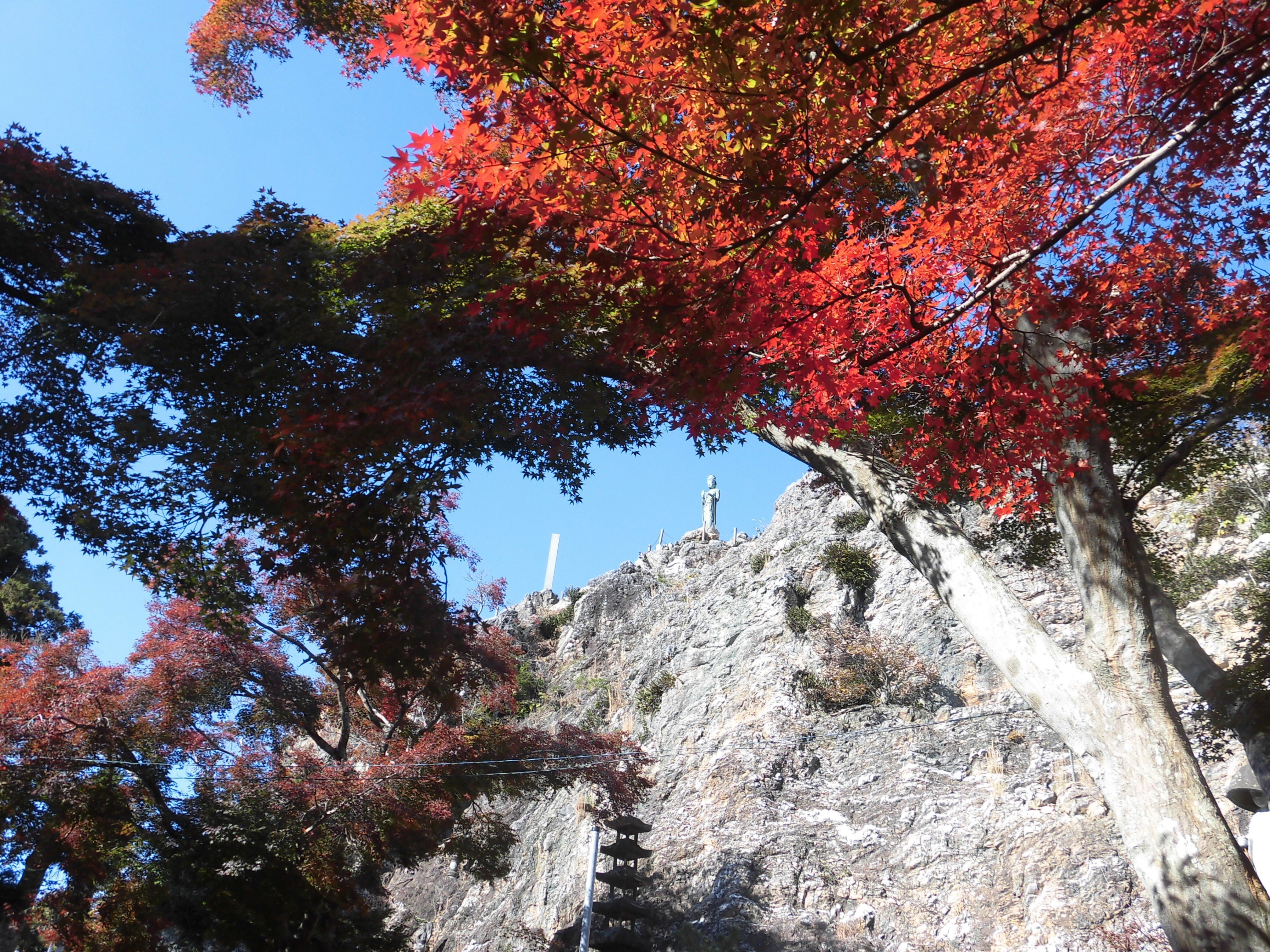 愛知県の皇室伝承】12．「岩屋山」由来記：三億八千万人の東夷が