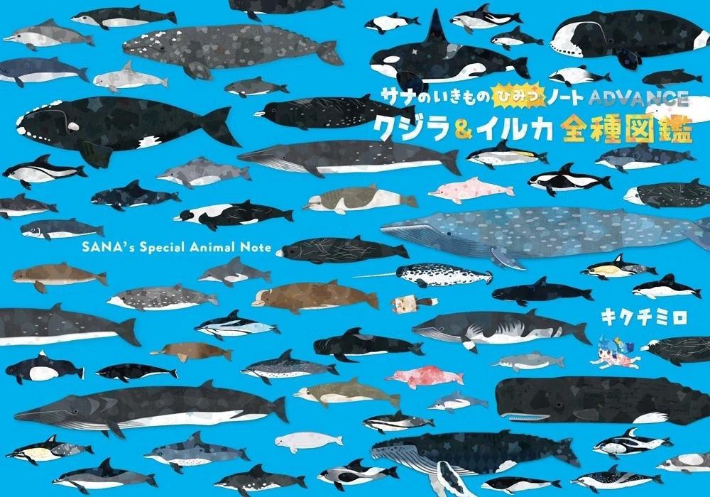 クジラ&イルカ全種図鑑」とコミティア参加｜キクチミロ
