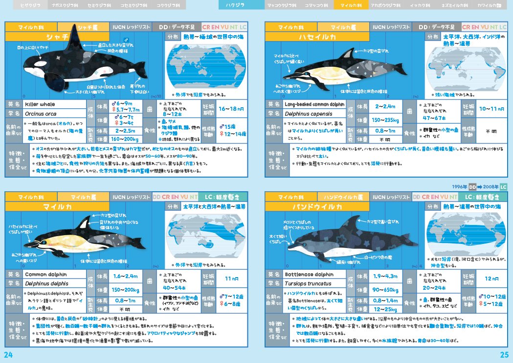 クジラ&イルカ全種図鑑」とコミティア参加｜キクチミロ