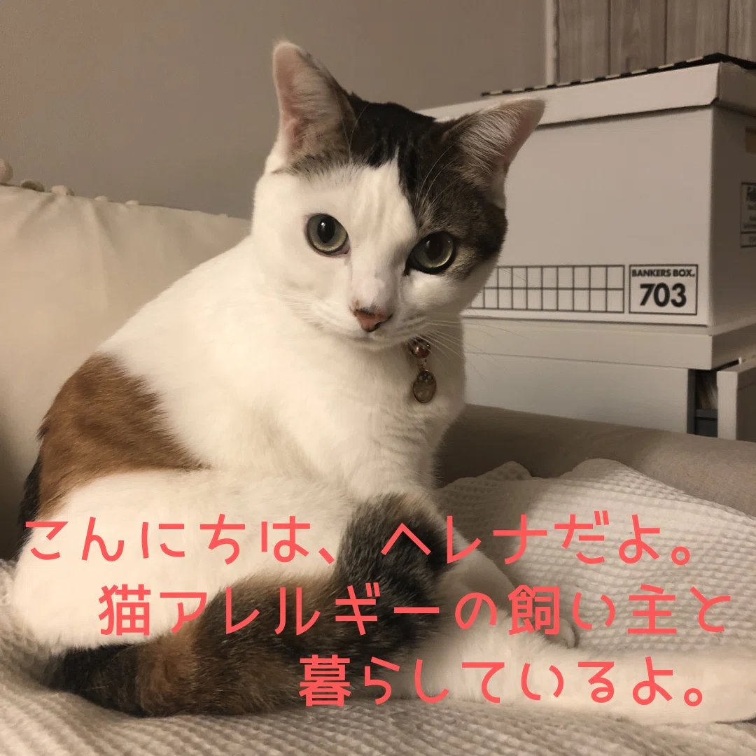 猫アレルギーでも猫と仲良く暮らしたい！｜ネコアレ専科