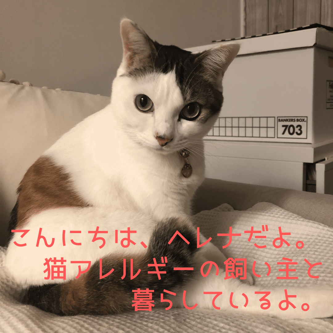 猫アレルギー氏 猫アレルギーでも猫と仲良く暮らしたい！｜ネコアレ専科
